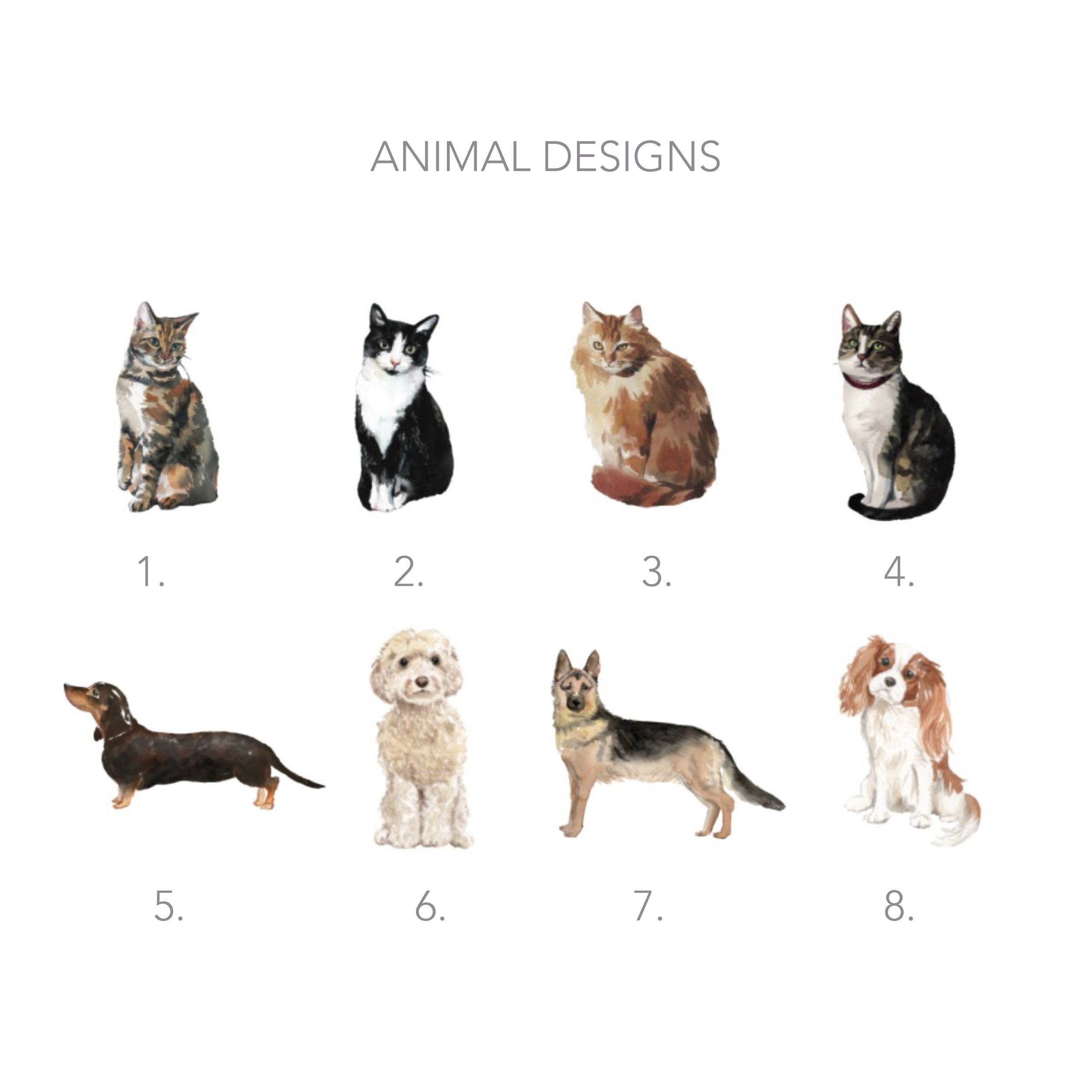HP Notepad Animals_Paper Colors-05.jpg