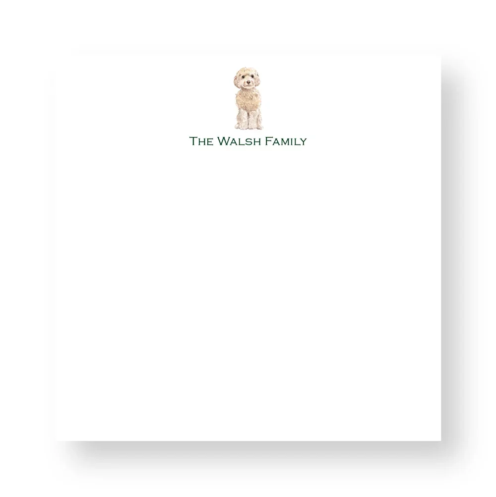 MCM-21_Square_Web.jpg.webp