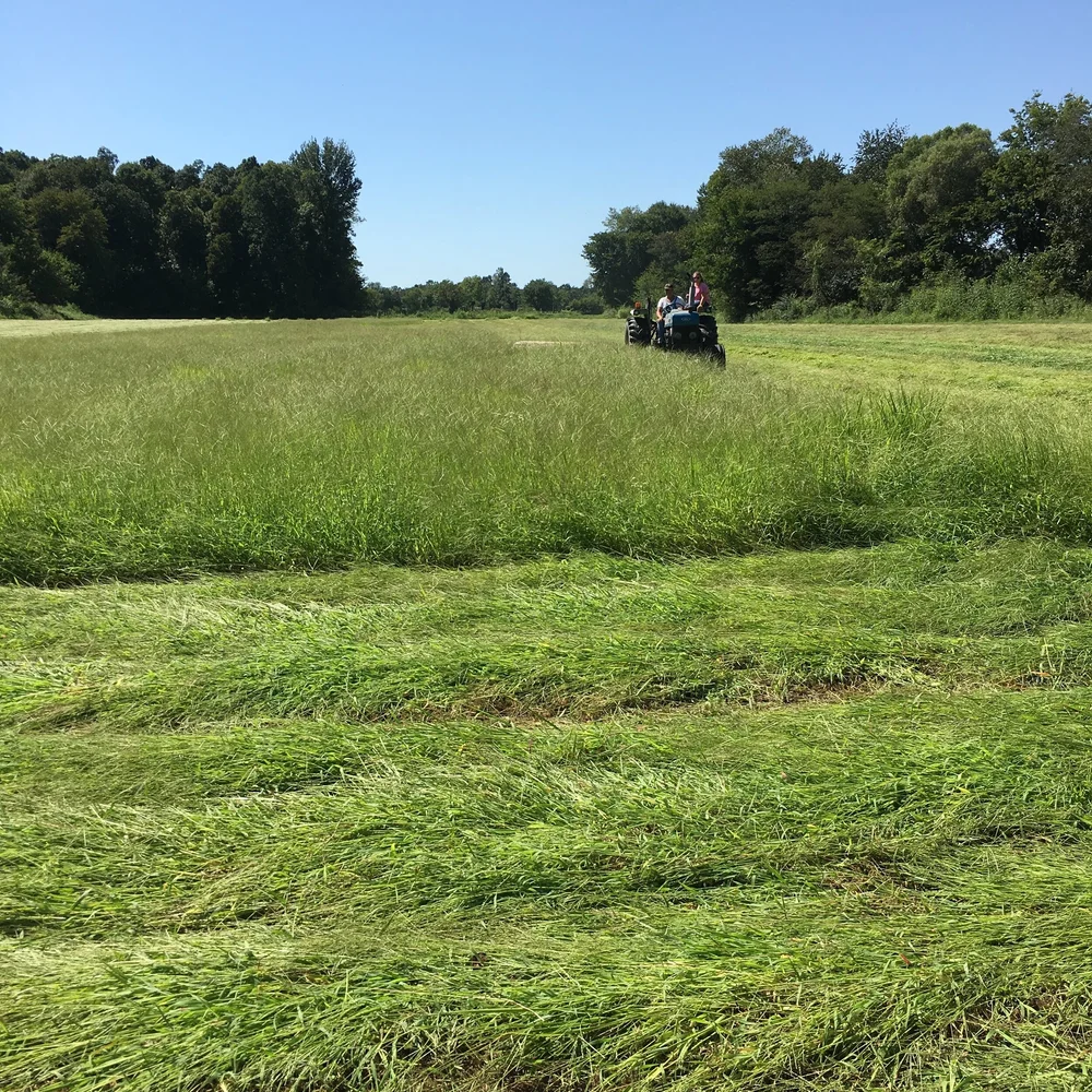 About — Palmer Farms Beef