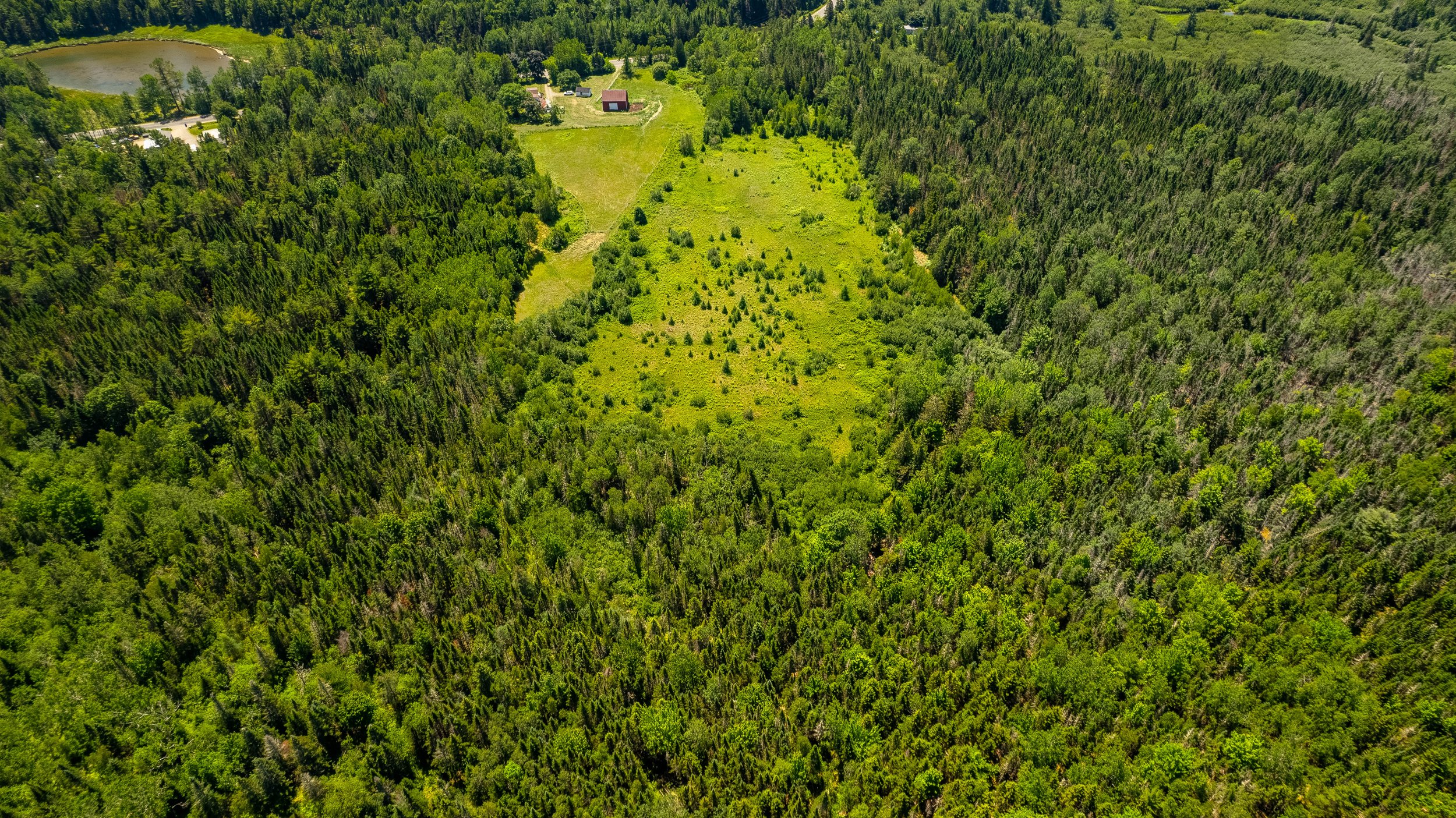 DJI_0916-HDR.jpg