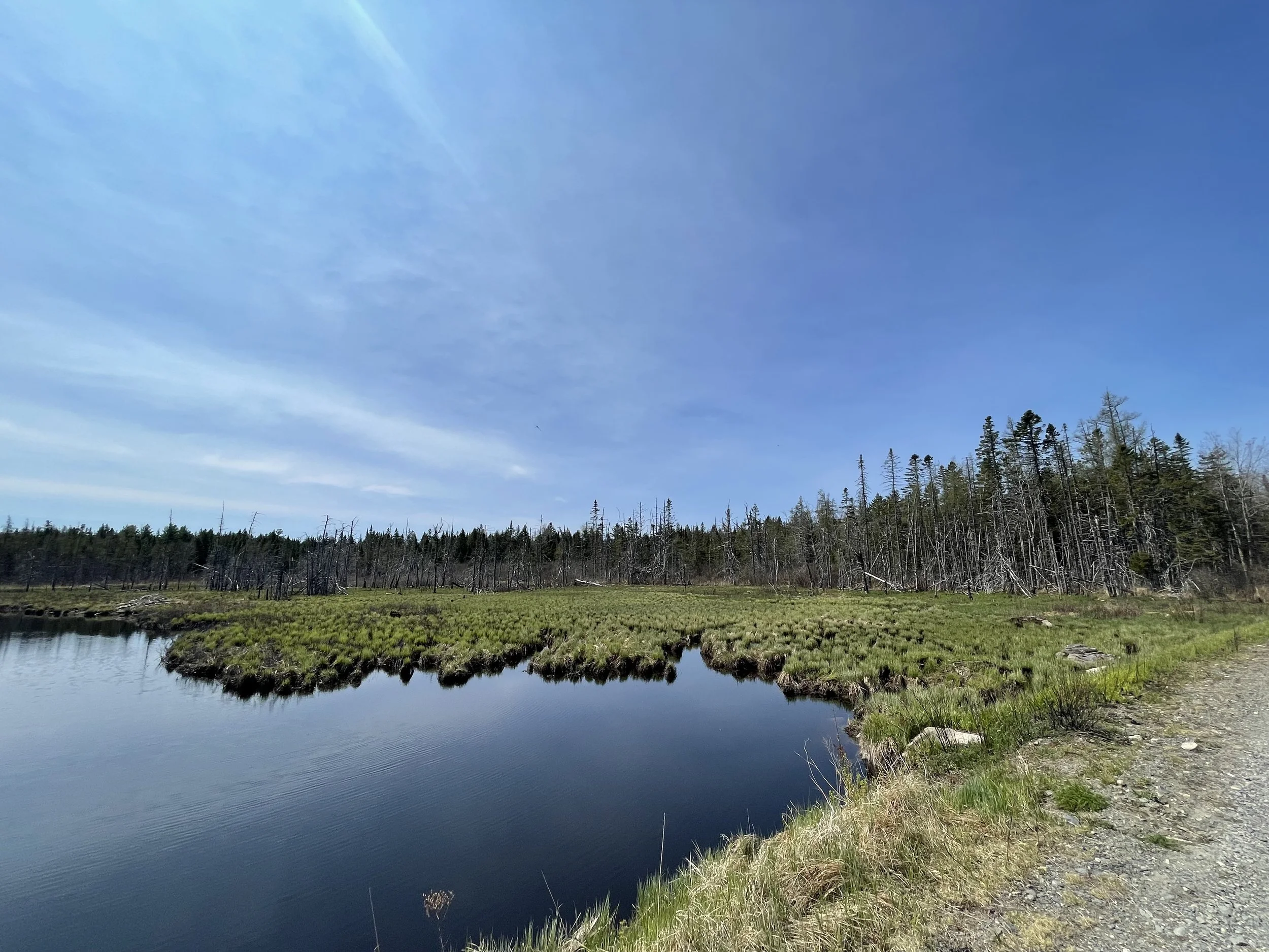 ROUTE 760, ELMSVILLE, NB — KATELYN RODAS