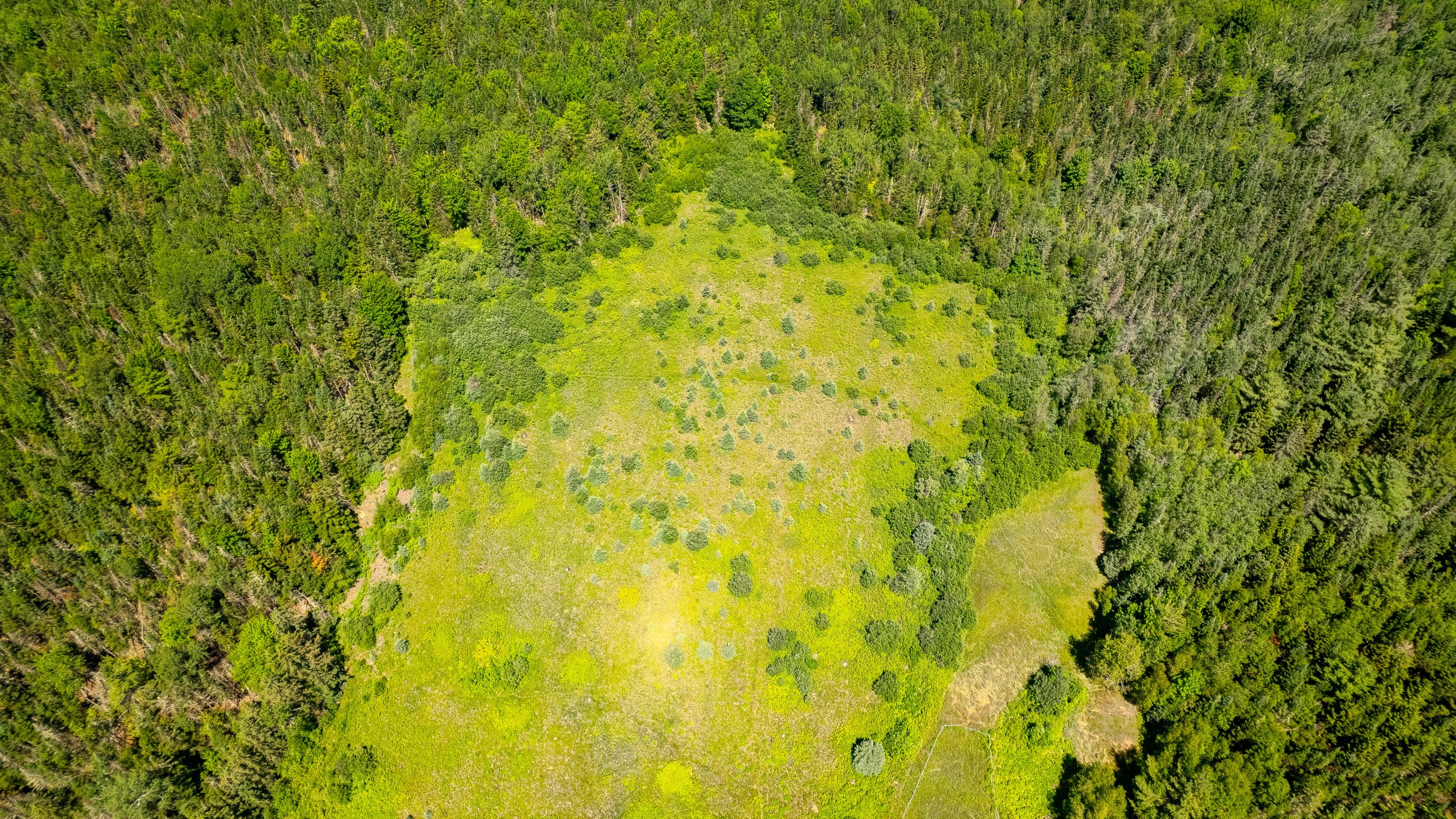 DJI_0928-HDR.jpg
