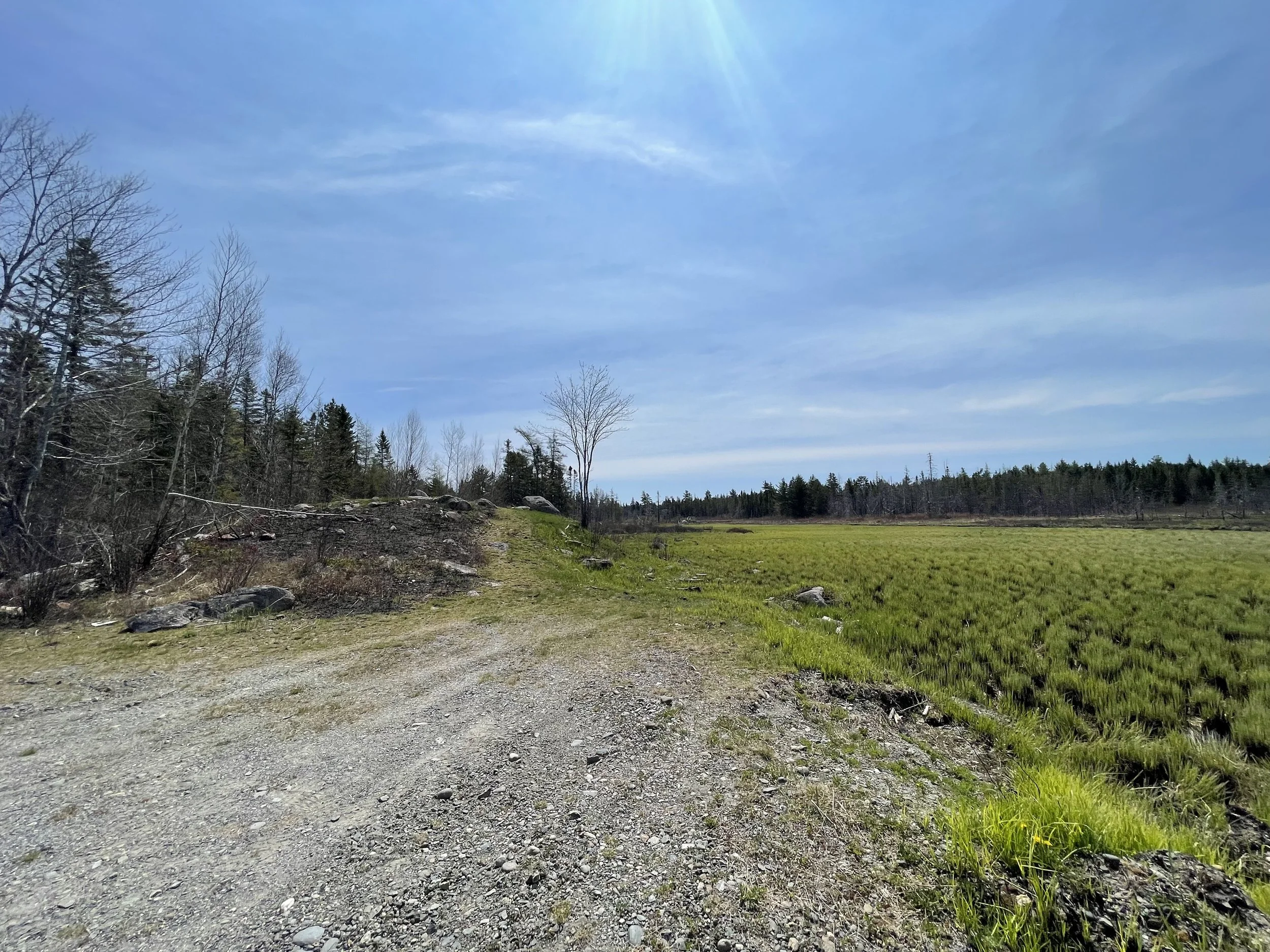 ROUTE 760, ELMSVILLE, NB — KATELYN RODAS