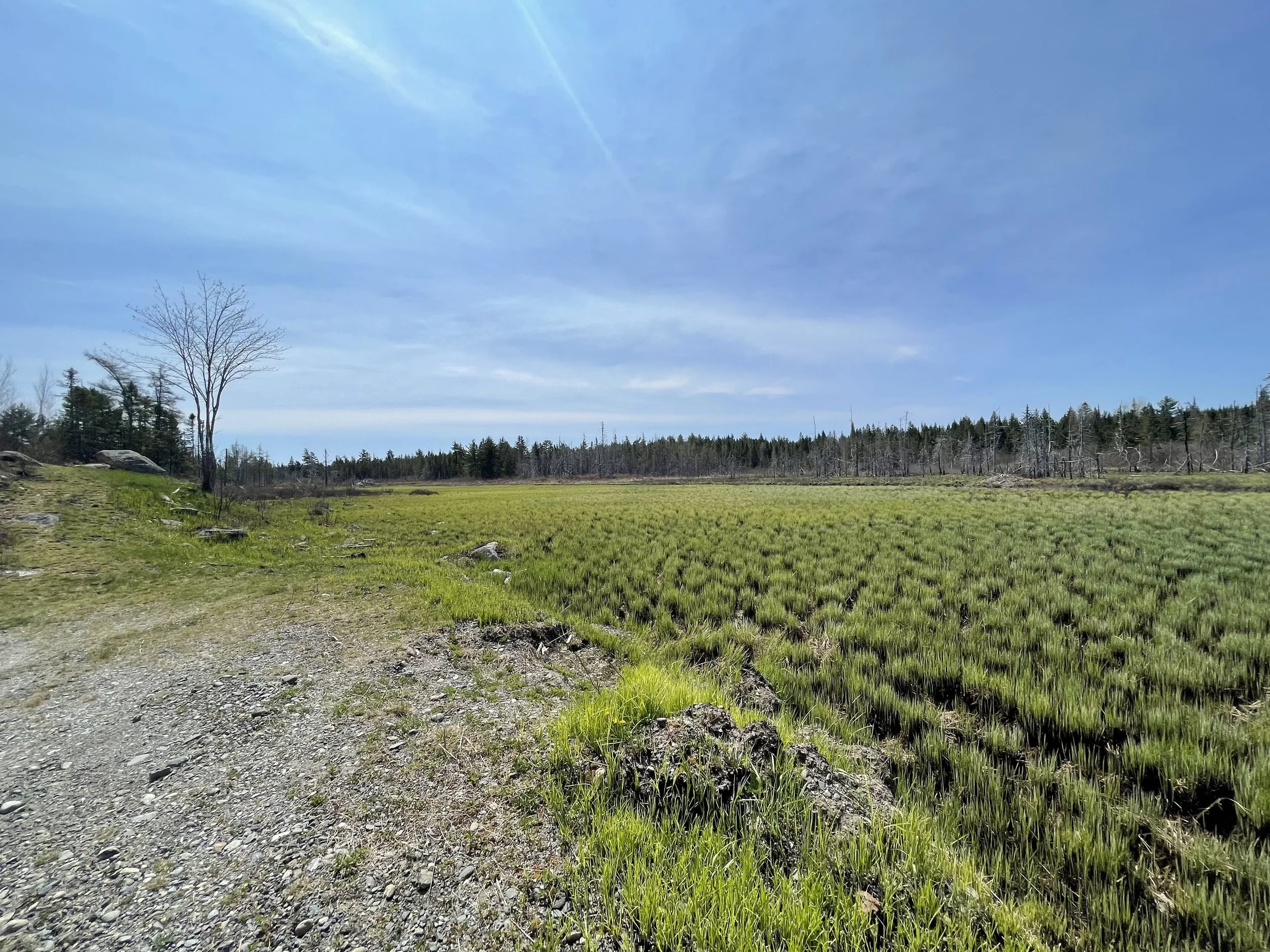 ROUTE 760, ELMSVILLE, NB — KATELYN RODAS