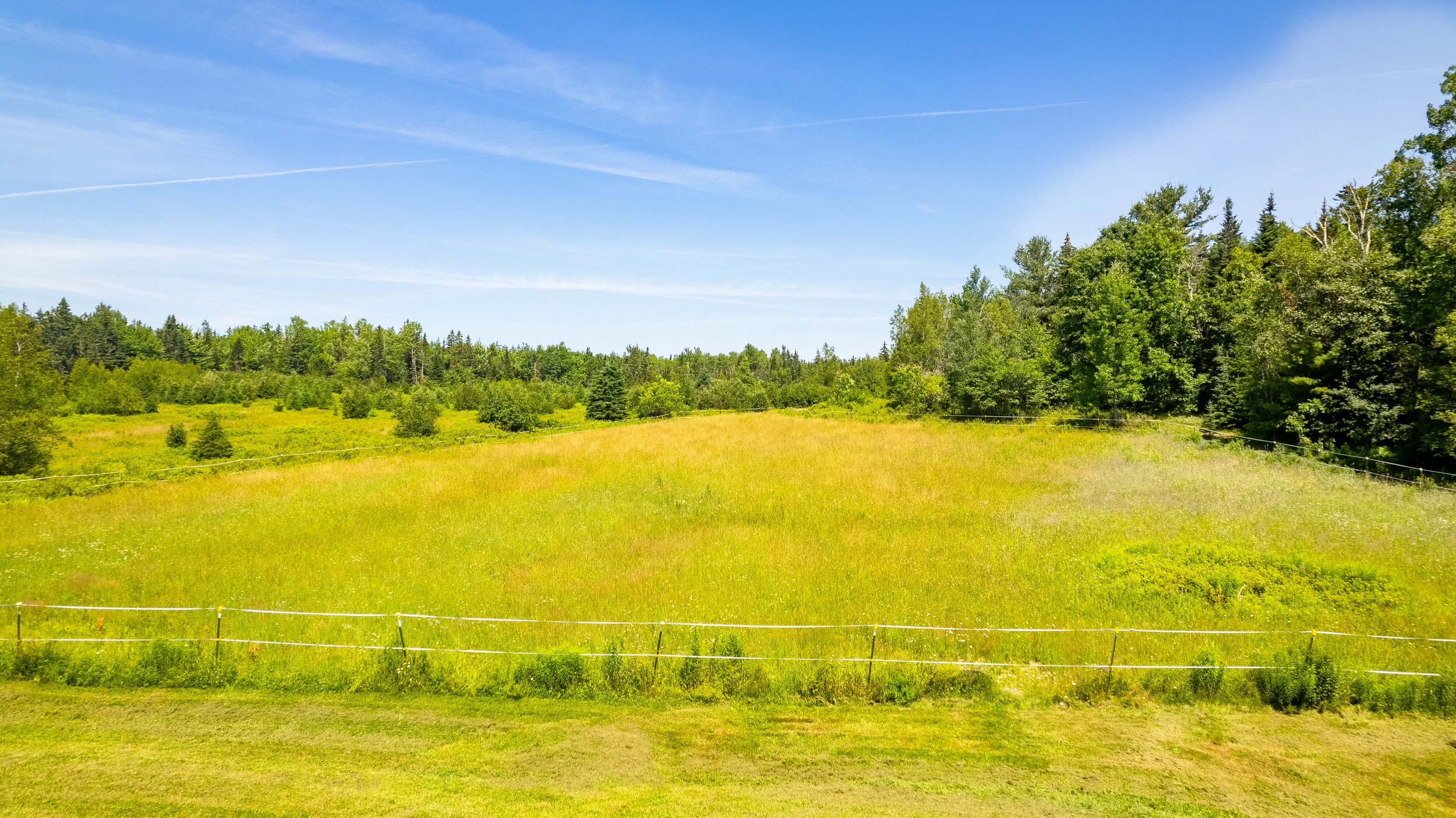 DJI_0879-HDR.jpg