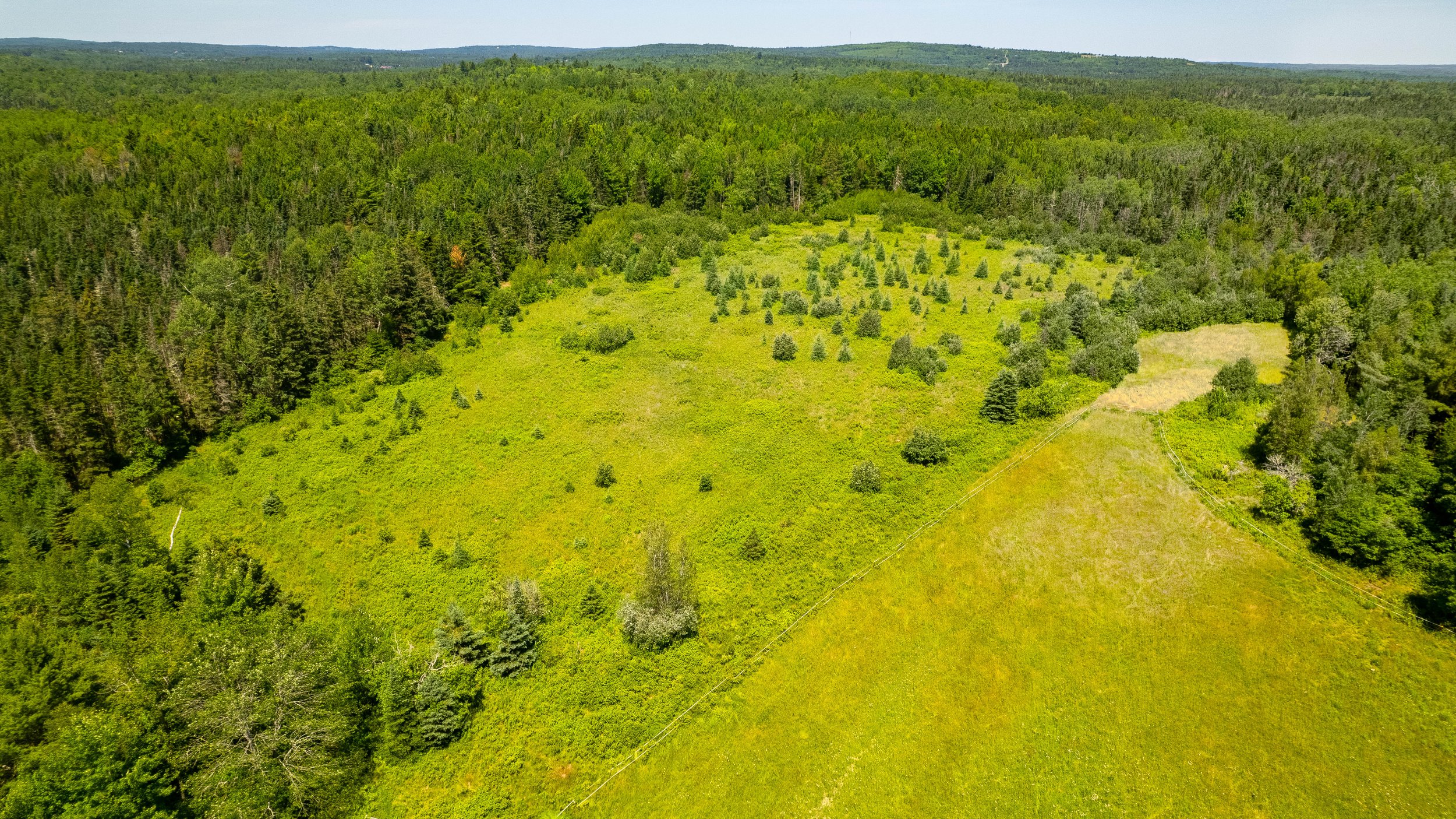 DJI_0938-HDR.jpg
