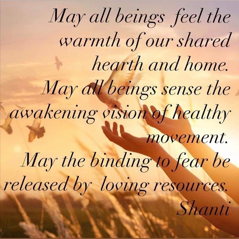 https://insig.ht/q0xRSH7zCBb?utm_source=copy_link&amp;utm_medium=live_stream_share

Thankful for my teachers, all beings.

Noting the boundaries of skin, escaping the me, I of contraction
 Stories freed in inspiration
With love, Shanti
#mindfulnessme
