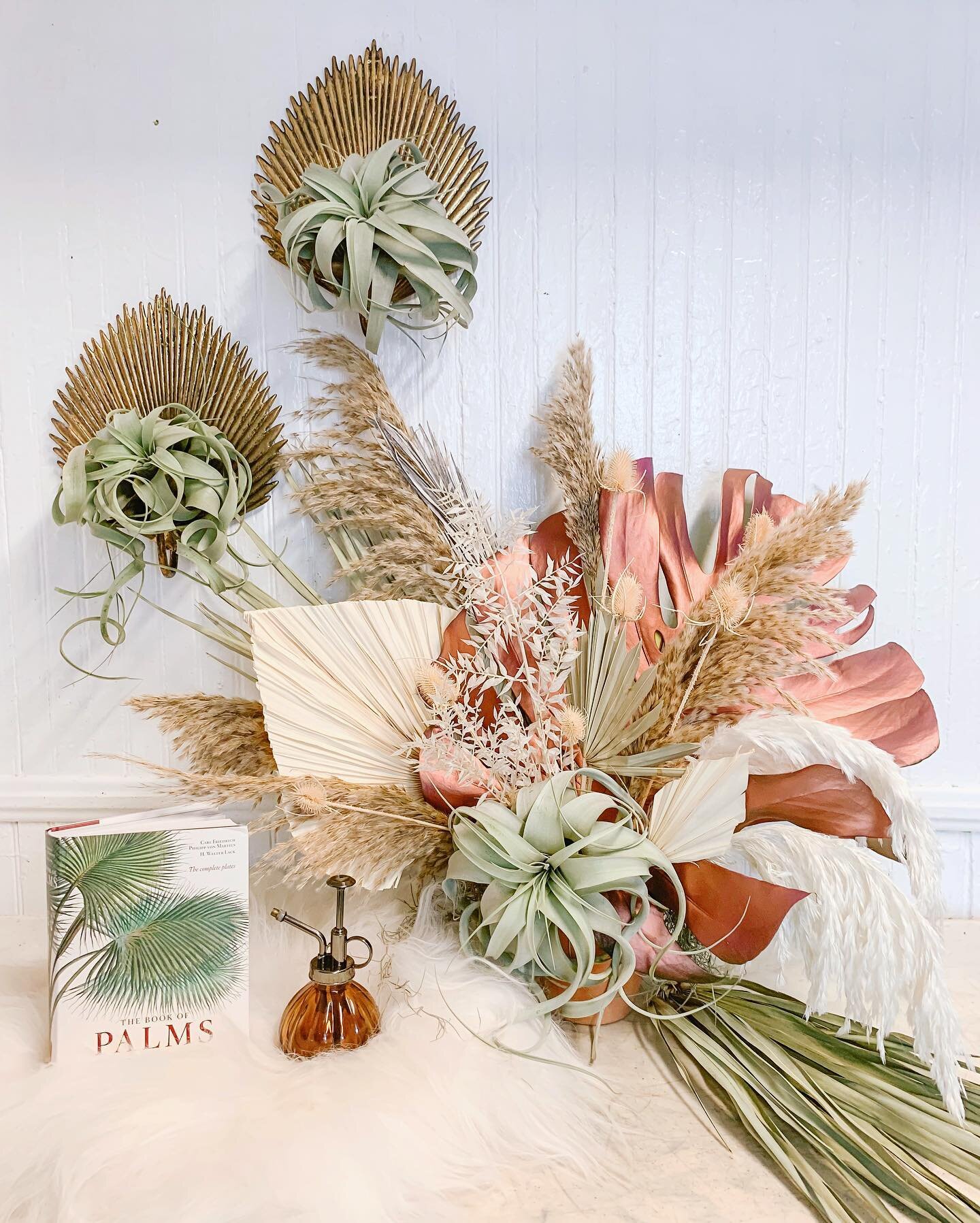 Hanging with our new air plants and some of our awesome new arrivals 🌴 Air plants have been fully restocked and they go quickly, so stop on in! 👀