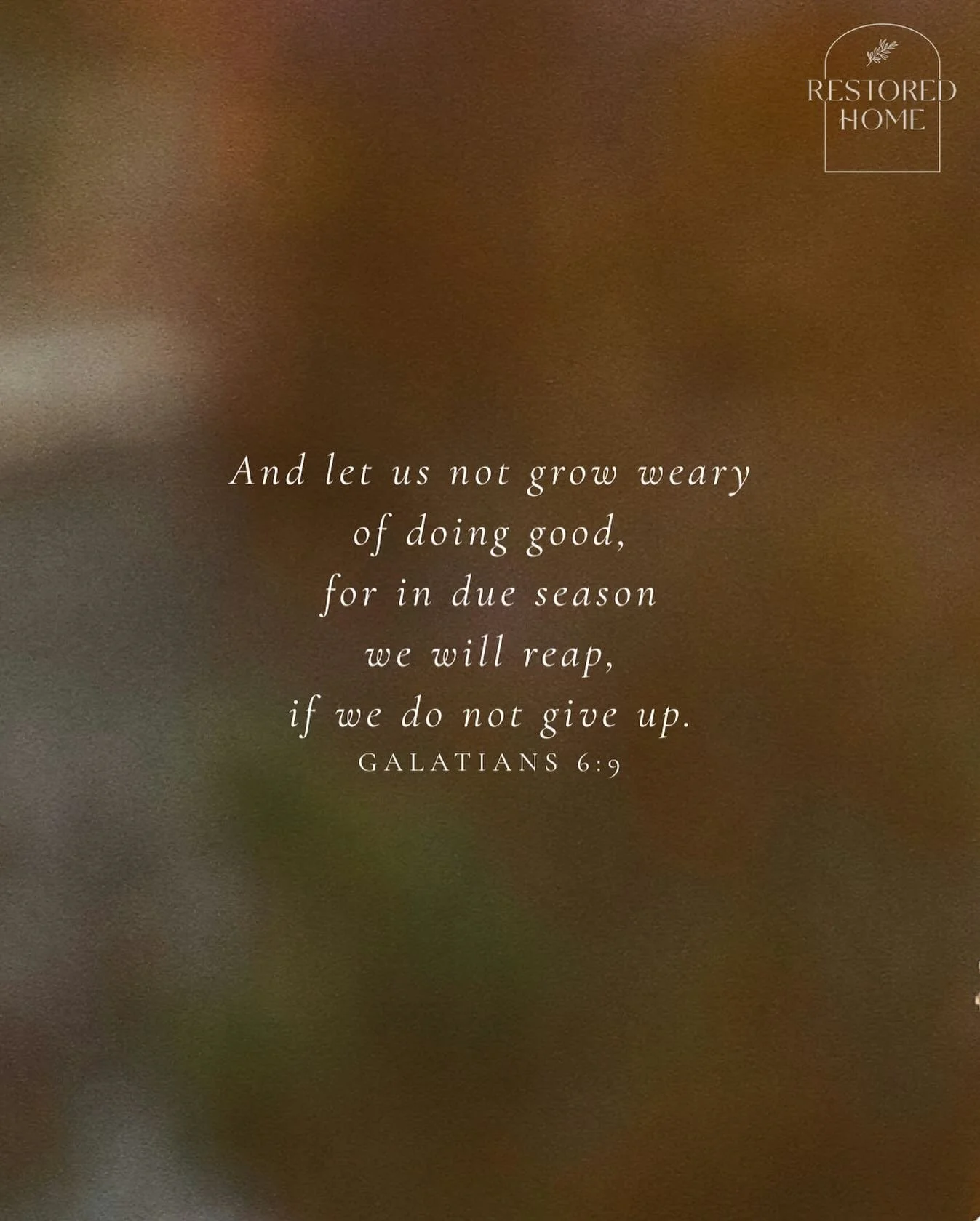 M O N D A Y  R E S T
And let us not grow weary
of doing good,
for in due season
we will reap,
if we do not give up.
GALATIANS 6:9
.
Restored Home works alongside the Church to equip and lead women shattered by betrayal, abandonment and unwanted divor