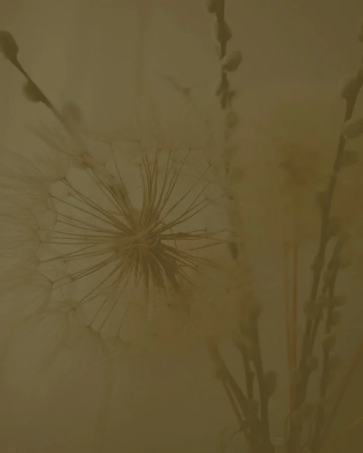 I N T R O D U C I N G . . . 
✨ FORGIVENESS: ON A JOURNEY TOWARDS HEALING ✨
A new devotional journal for the one struggling to forgive.
“But what if he doesn’t deserve forgiveness?”
“How on earth do I forgive someone who has