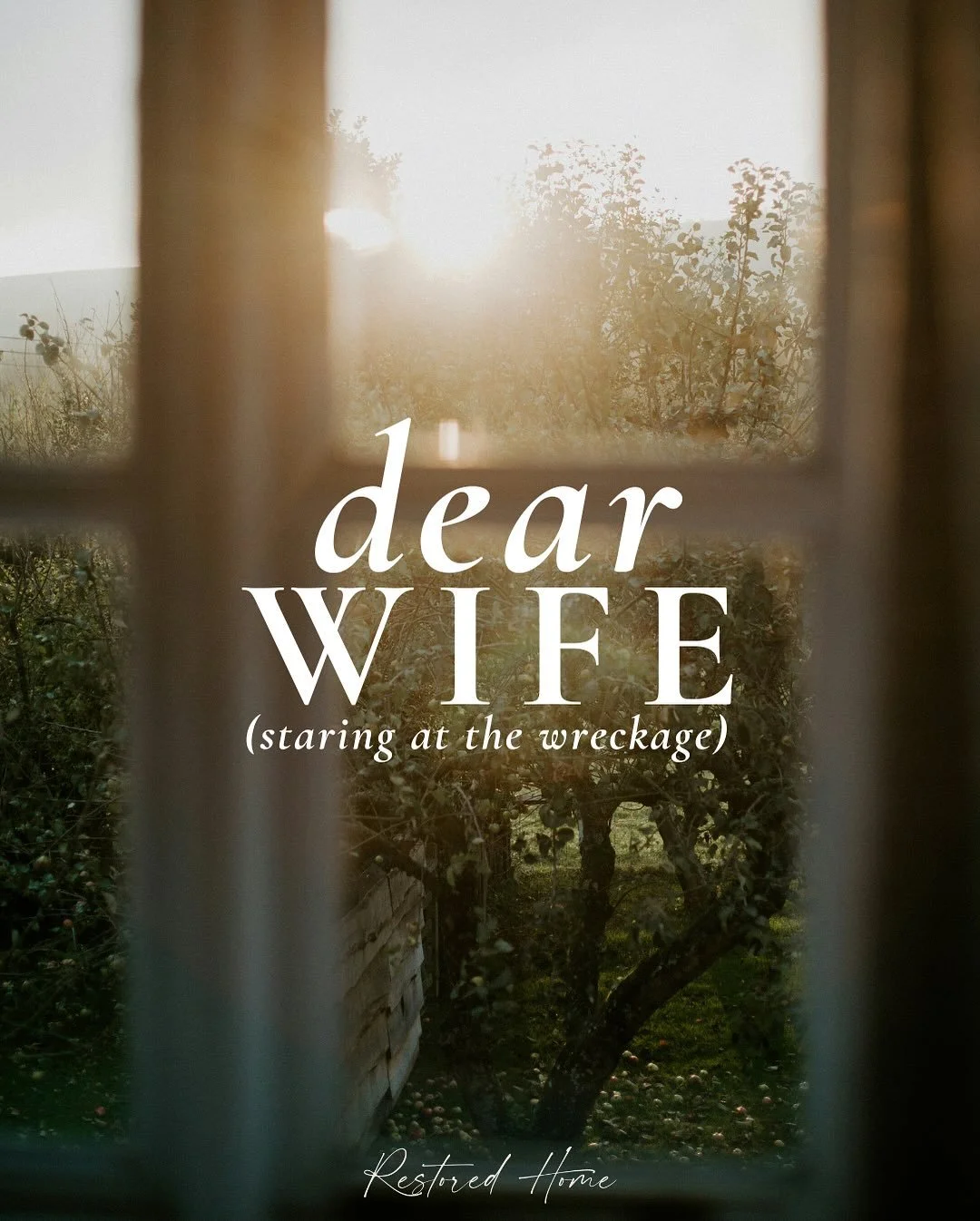D E A R  W I F E 
Everything good and beautiful in my life crashed into a thousand pieces. I was brought very low. So low in fact, I lost all hope. Have you been there? I have a feeling maybe you have.

Soon after learning of my husband&rsquo;s unfai