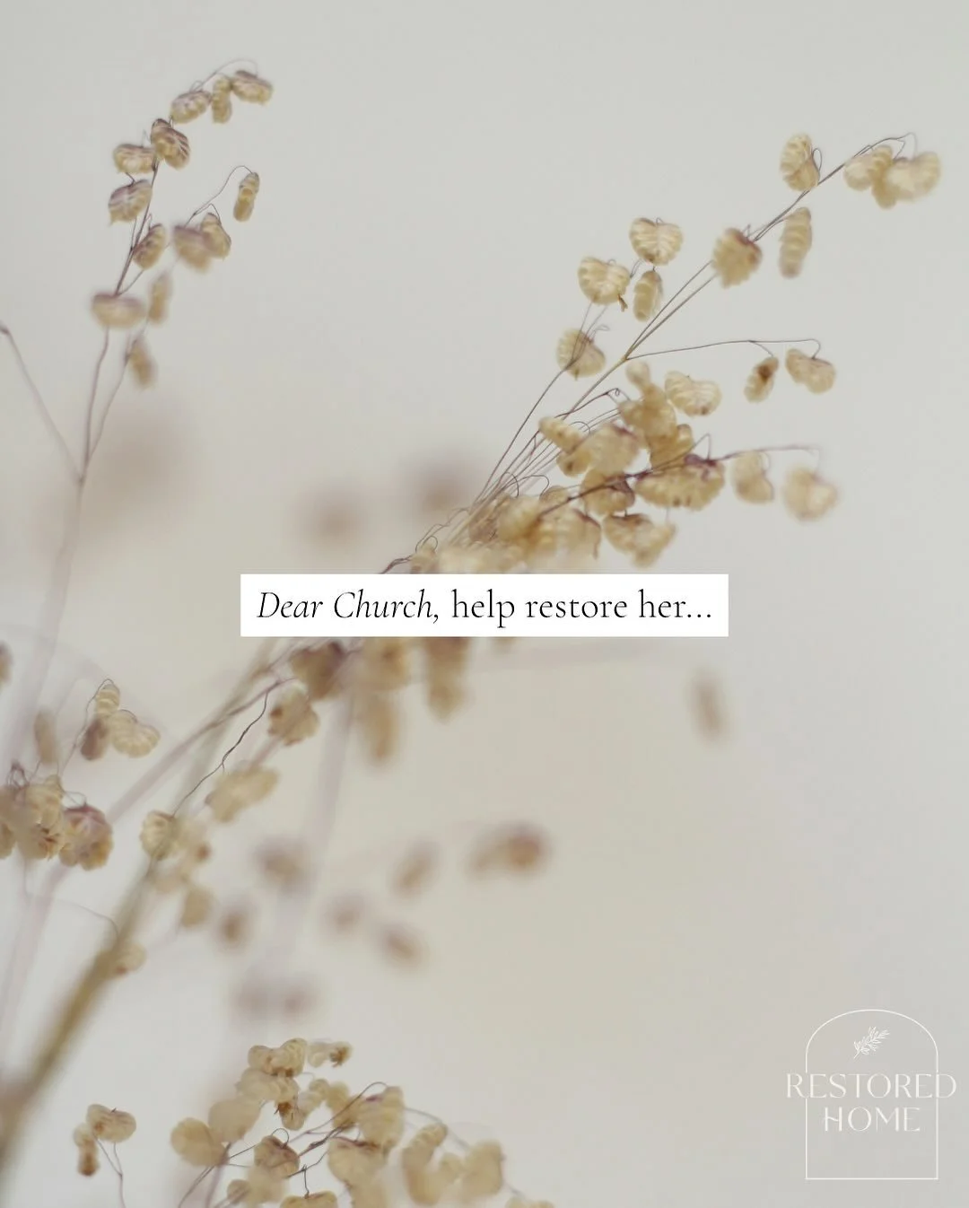 D E A R &nbsp; C H U R C H ,
Your commitment to and participation in the gathered Body of Christ is one of the main antidotes to hopelessness in the lives of the afflicted and abandoned wives in your midst. Psalm 73 says,
For I am afflicted all day l