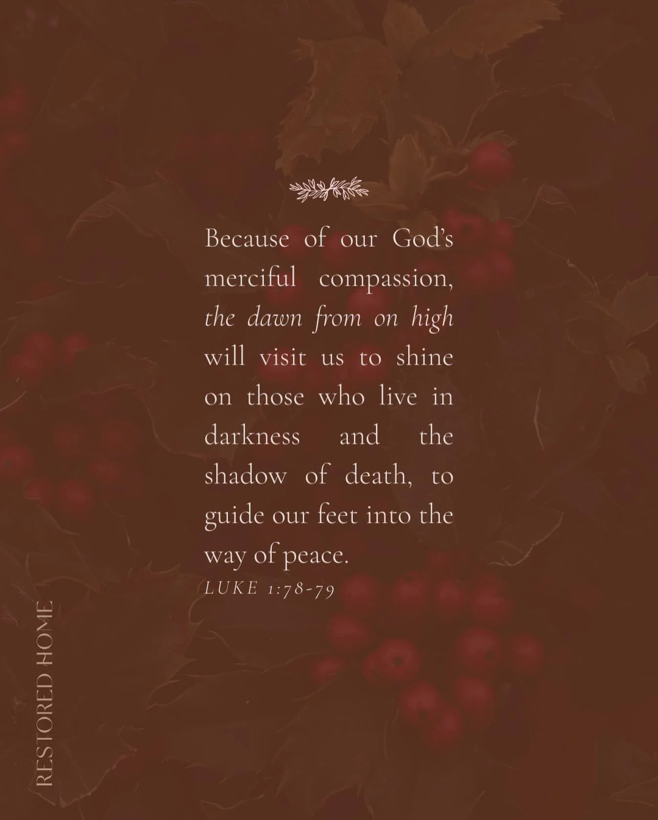 M O N D A Y  R E S T
Because of our God&rsquo;s merciful compassion, the dawn from on high will visit us to shine on those who live in darkness and the shadow of death, to guide our feet into the way of peace.
LUKE 1:78-79

9 years ago today, I caugh