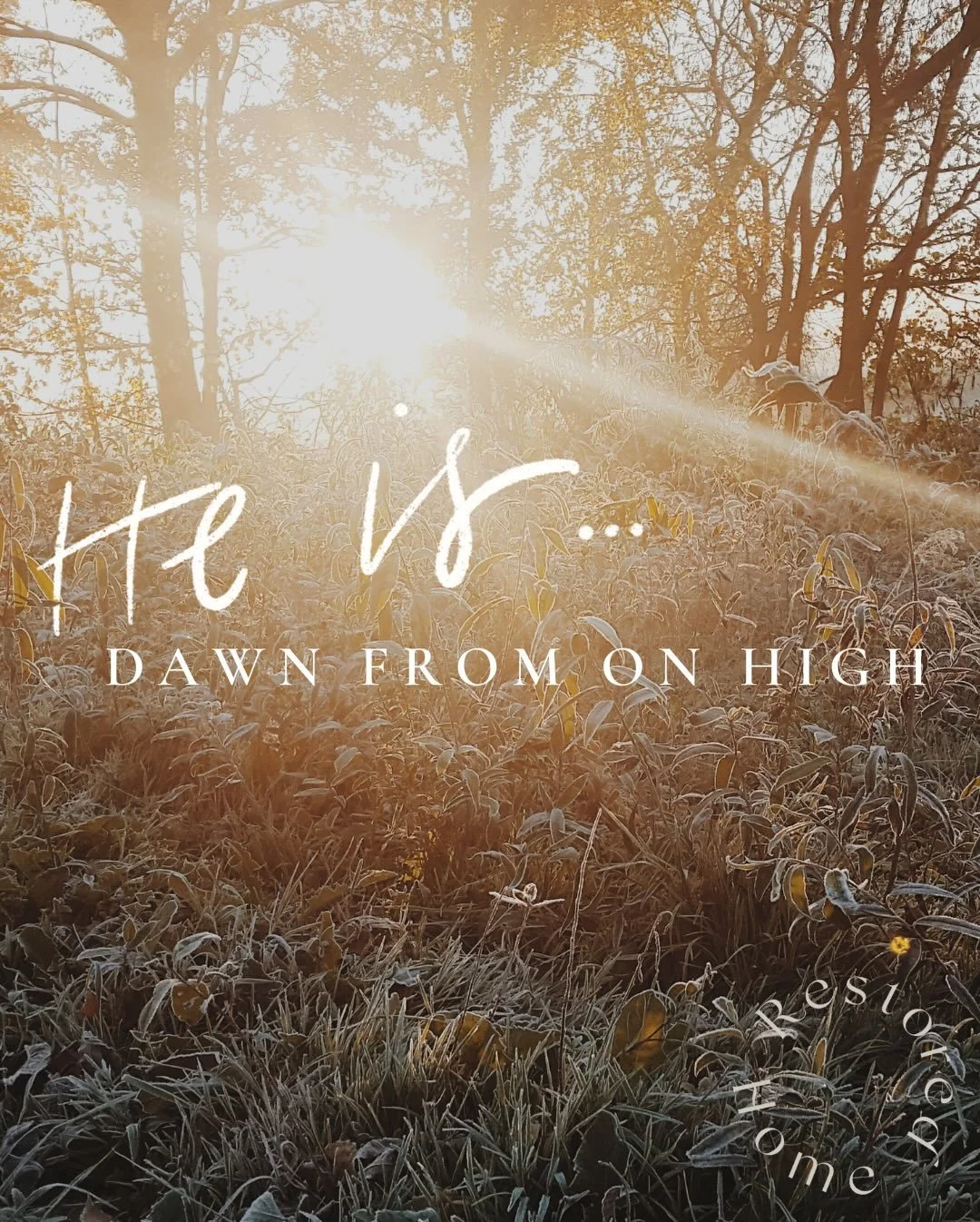 H E  I S . . .
The darkness was crushing. I&rsquo;d been plunged into the depths of sorrow and grief with the life-shattering words, &ldquo;Your husband is having an affair&rdquo;. 

The darkness felt palpable. My eyes were darkened by tears. My skin