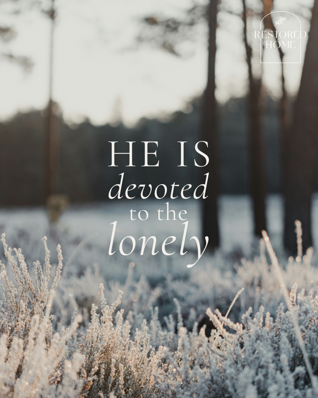HE IS…Devoted to the Lonely