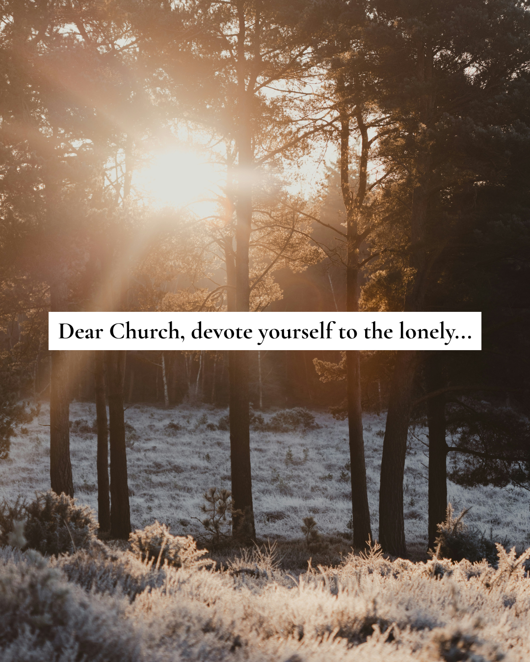 Dear Church, Devote Yourself to the Lonely