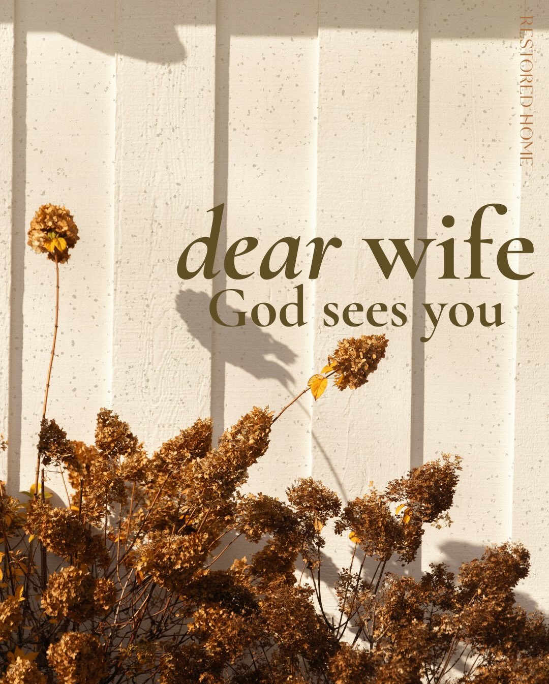 D E A R  W I F E
Ok, here&rsquo;s the thing.&nbsp;

If I read about God, who sees and looks after me, and walk away thinking *I* must be someone pretty incredible and special, my worship is misplaced.&nbsp;

If the end result of a God who looks on an