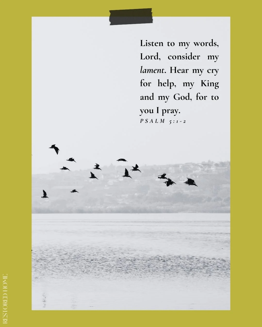 R E S T &amp;  L A M E N T
Listen to my words, Lord, consider my lament. 
Hear my cry for help, my King and my God, for to you I pray.
PSALM 5:1-2
:
Let&rsquo;s pause in the messy in-between this month as we welcome the grace of biblical lament into 