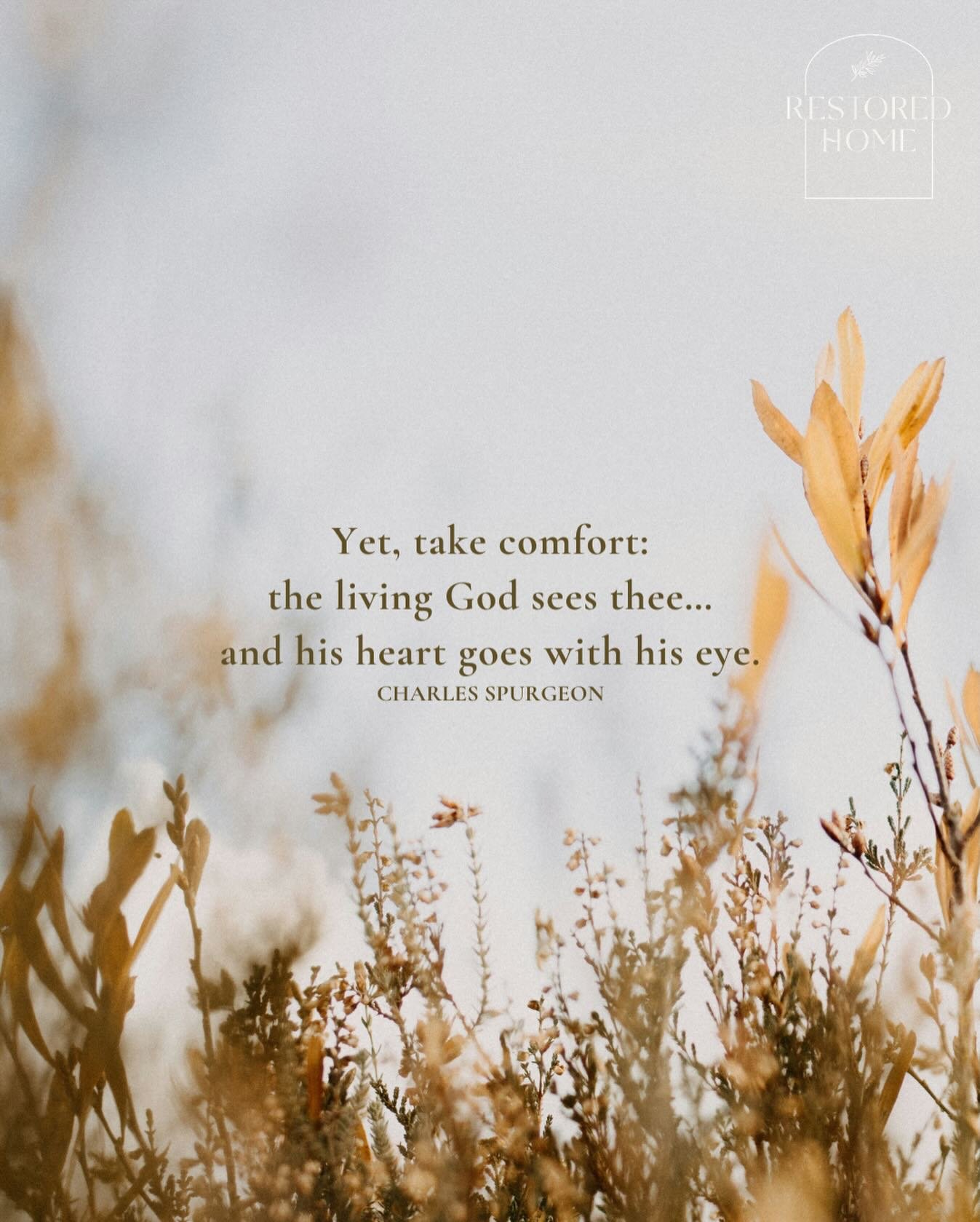 H I S  H E A R T
Yet, take comfort: the living God sees thee...
and his heart goes with his eye.
CHARLES SPURGEON
.
Restored Home works alongside the Church to equip and lead women shattered by betrayal, abandonment and unwanted divorce towards the G