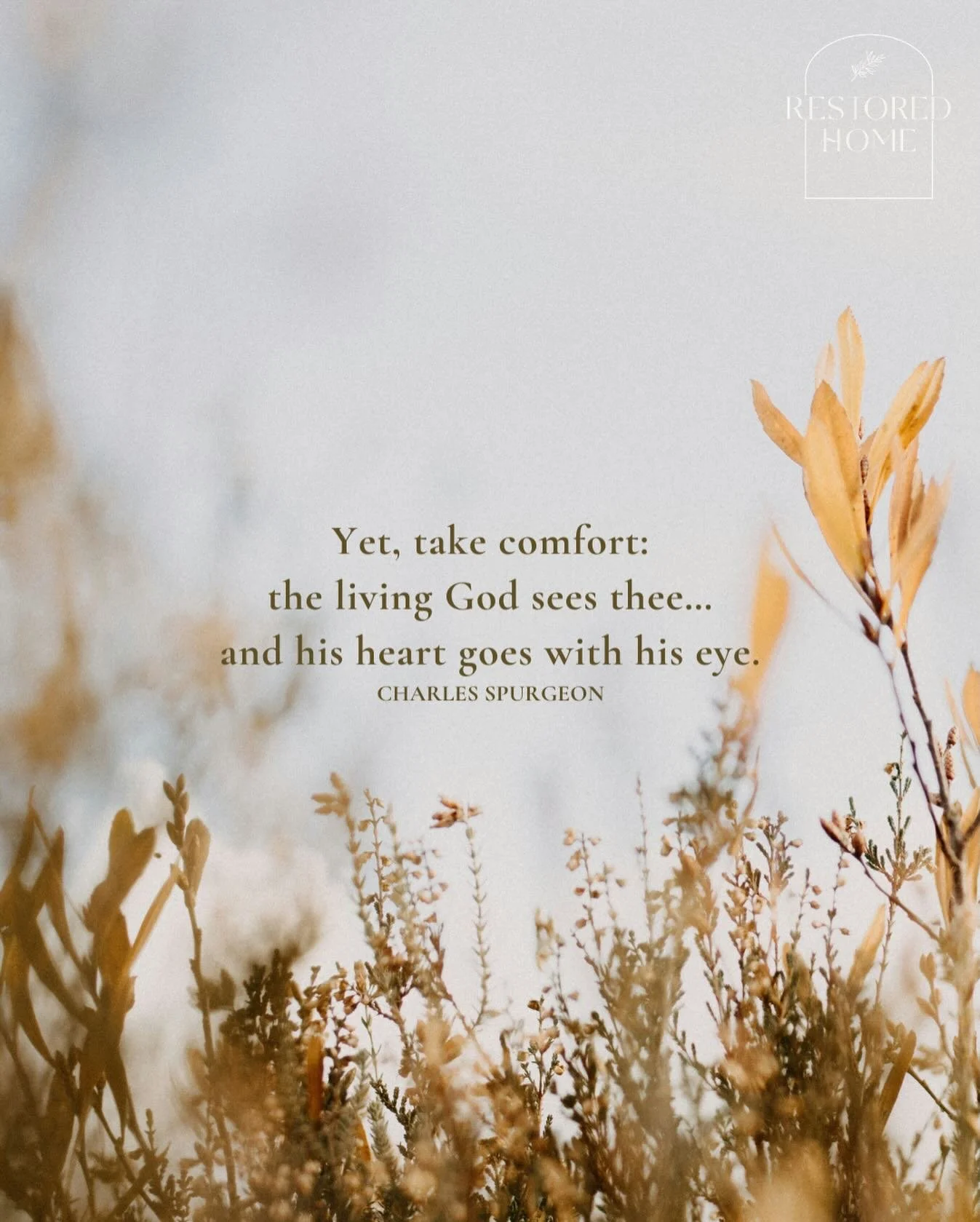 H I S  H E A R T
Yet, take comfort: the living God sees thee...
and his heart goes with his eye.
CHARLES SPURGEON
.
Restored Home works alongside the Church to equip and lead women shattered by betrayal, abandonment and unwanted divorce towards the G