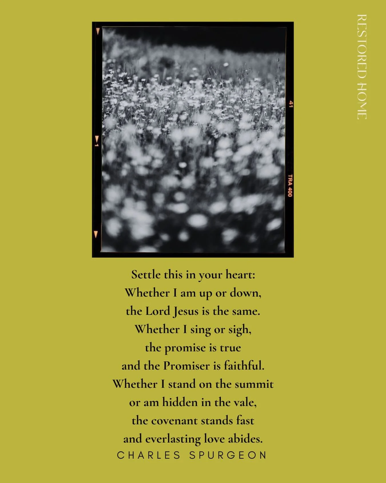 W H E T H E R
Settle this in your heart:
Whether I am up or down,
the Lord Jesus is the same.
Whether I sing or sigh,
the promise is true
and the Promiser is faithful.
Whether I stand on the summit
or am hidden in the vale,
the covenant stands fast
a
