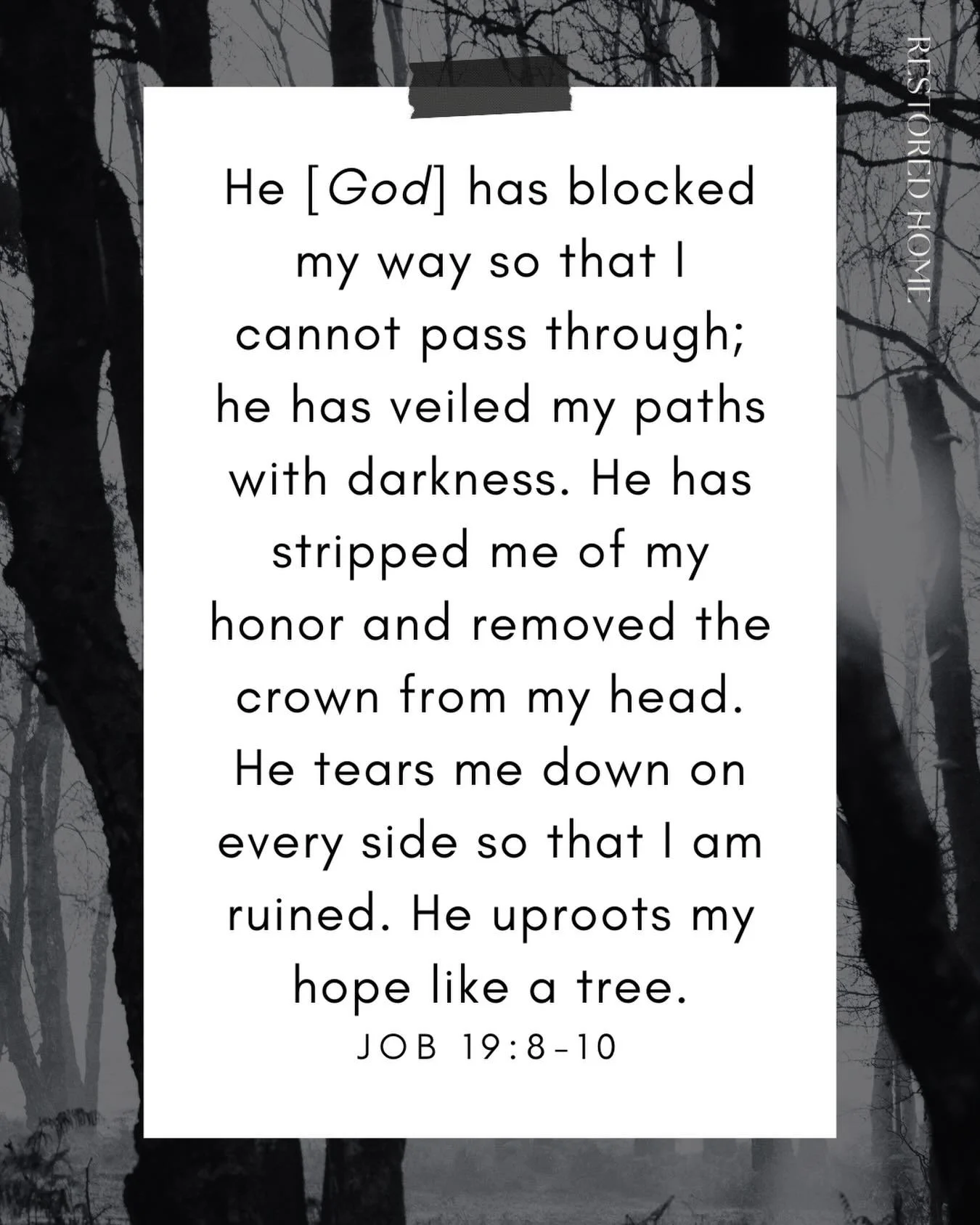 R E S T &amp;  L A M E N T
He [God] has blocked my way so that I cannot pass through; 
he has veiled my paths with darkness. 
He has stripped me of my honor and removed the crown from my head.
He tears me down on every side so that I am ruined. 
He u