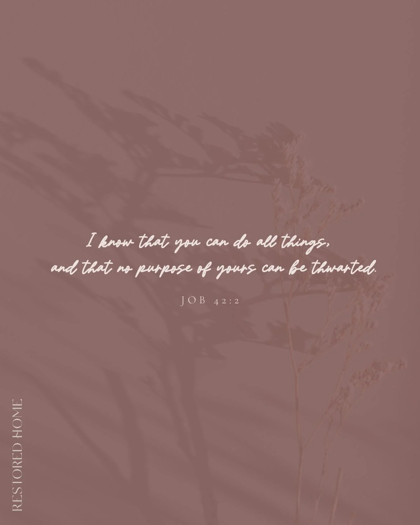 R E S T
I know that you can do all things,
and that no purpose of yours can be thwarted.
JOB 42:2
.
Restored Home works alongside the Church to equip and lead women shattered by betrayal, abandonment and unwanted divorce towards the God who restores.