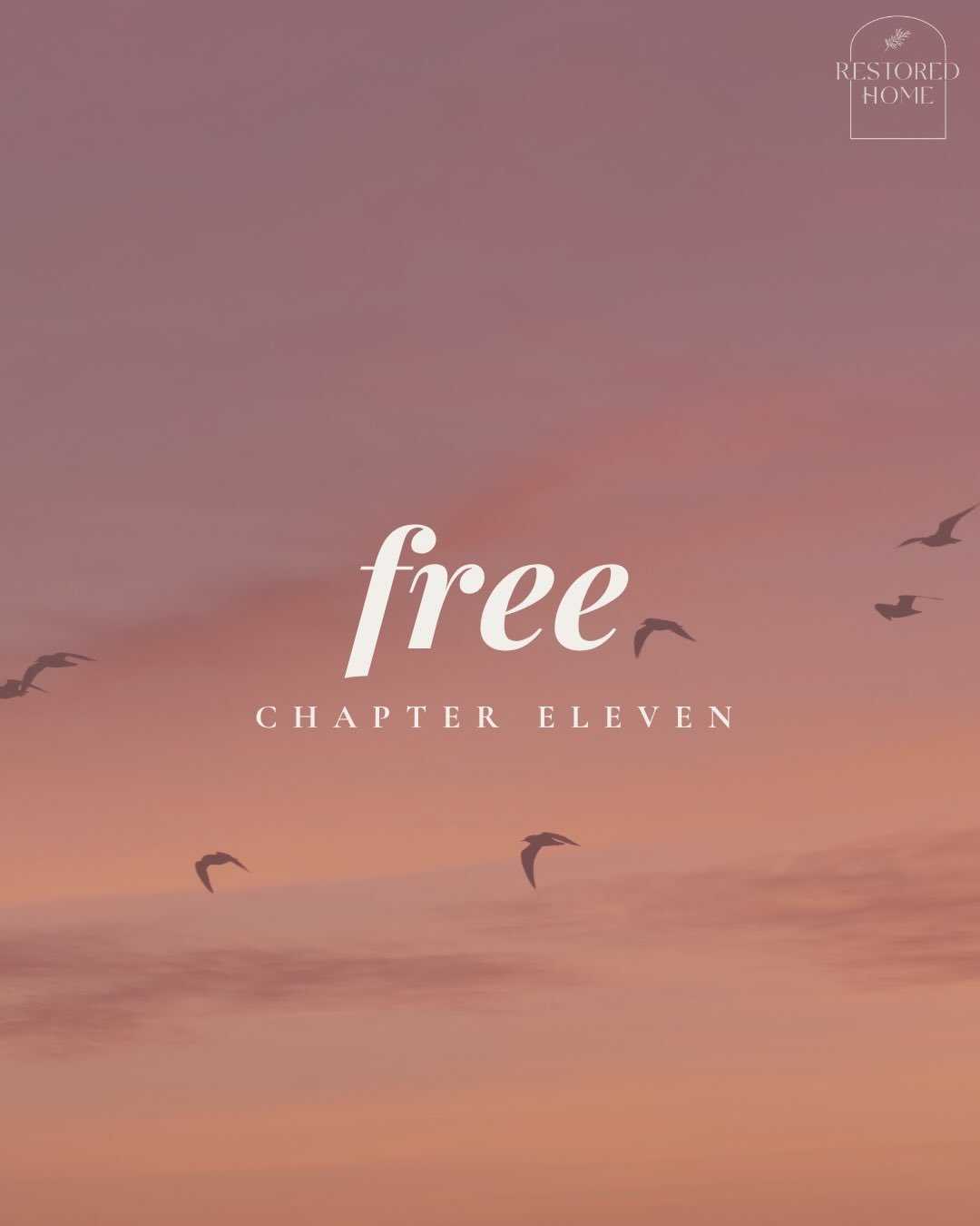 F R E E / /  C H A P T E R  1 1
I hated him. I hated him so much.&nbsp;

I hated how he made me feel.&nbsp;

I hated what he had done to us.&nbsp;

I hated all the lies.

I hated divorce.&nbsp;

But maybe even more,&nbsp;

I hated the way my heart bu