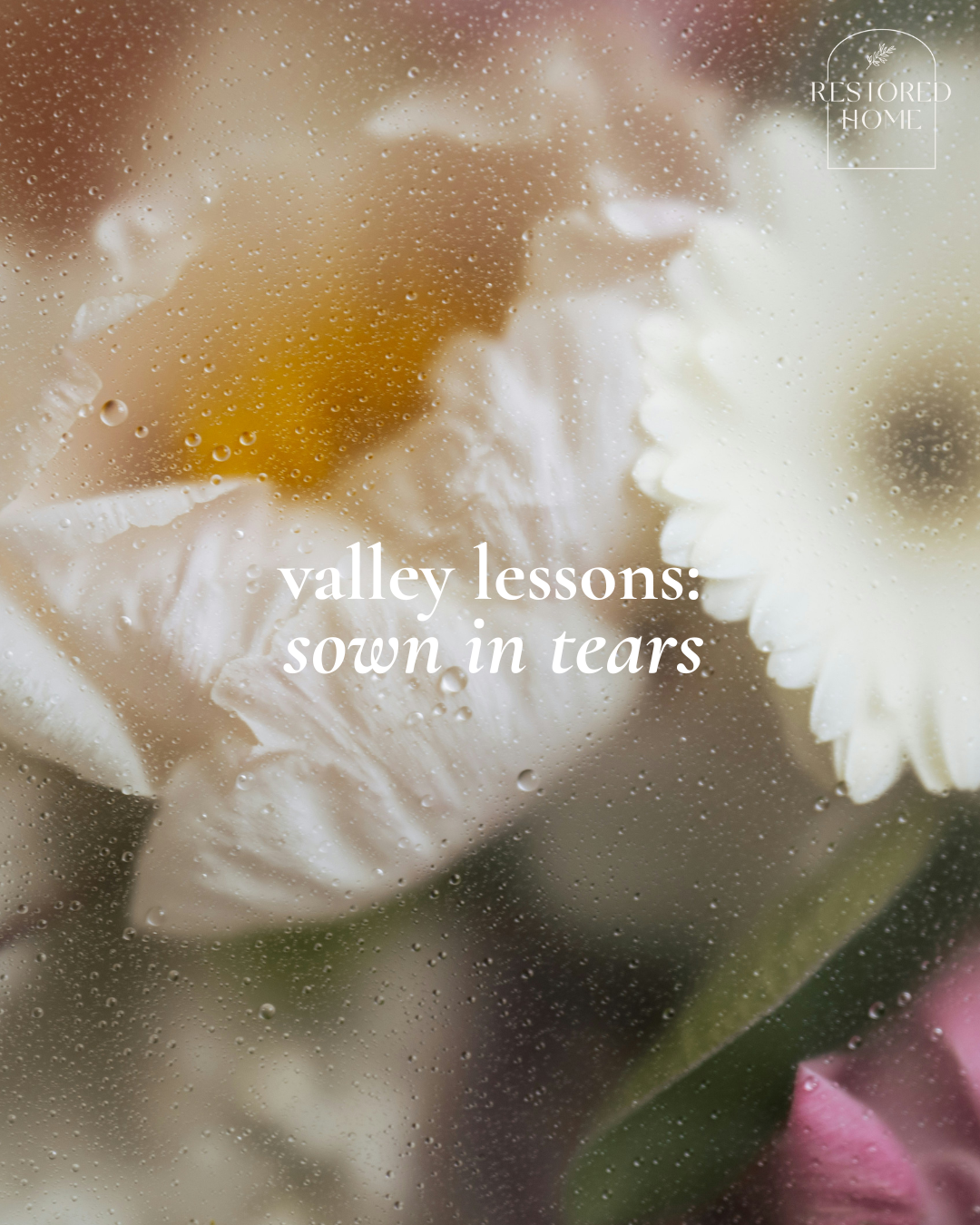 VALLEY LESSONS: Sown in Tears