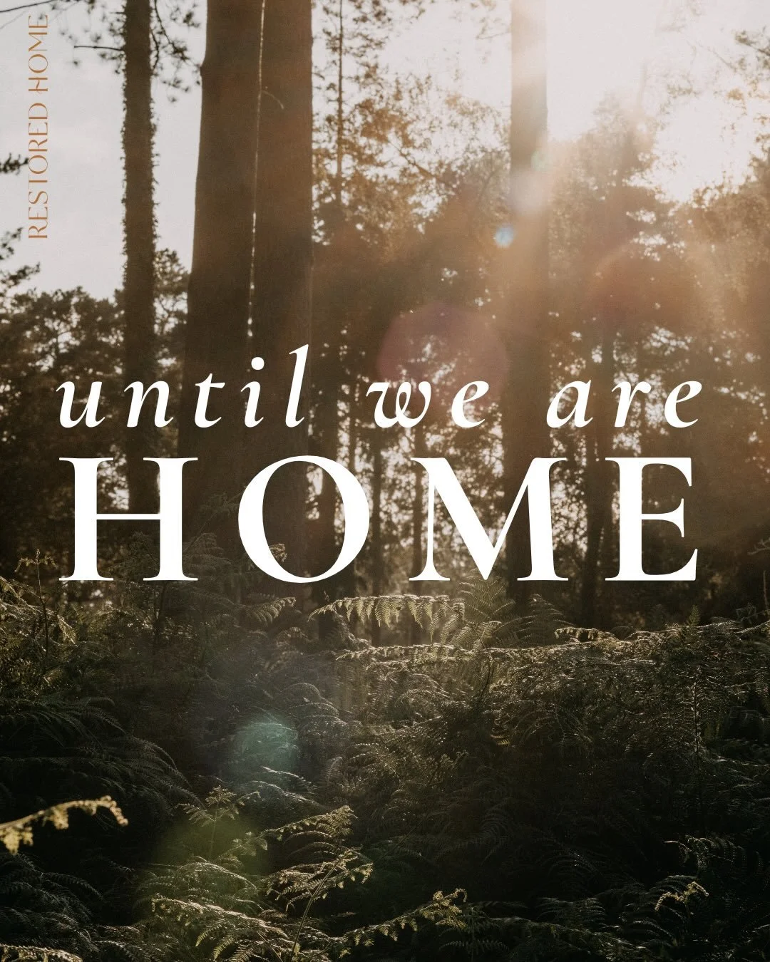 Dear Restored Home Family,
It&rsquo;s time to say goodbye, for now.&nbsp;

Restored Home is so precious to me. We&rsquo;ve carved out a space for grief and lament and community, and most of all&ndash;HOPE.&nbsp;

I&rsquo;ve spent the last month finis