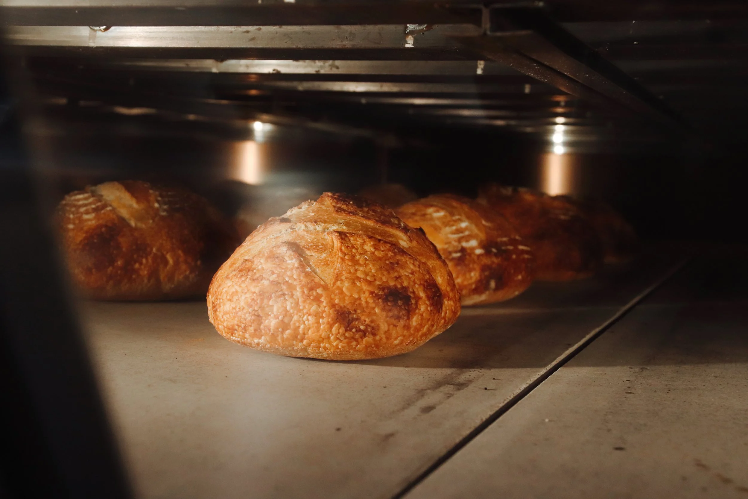 Harvey Bakery & Kitchen