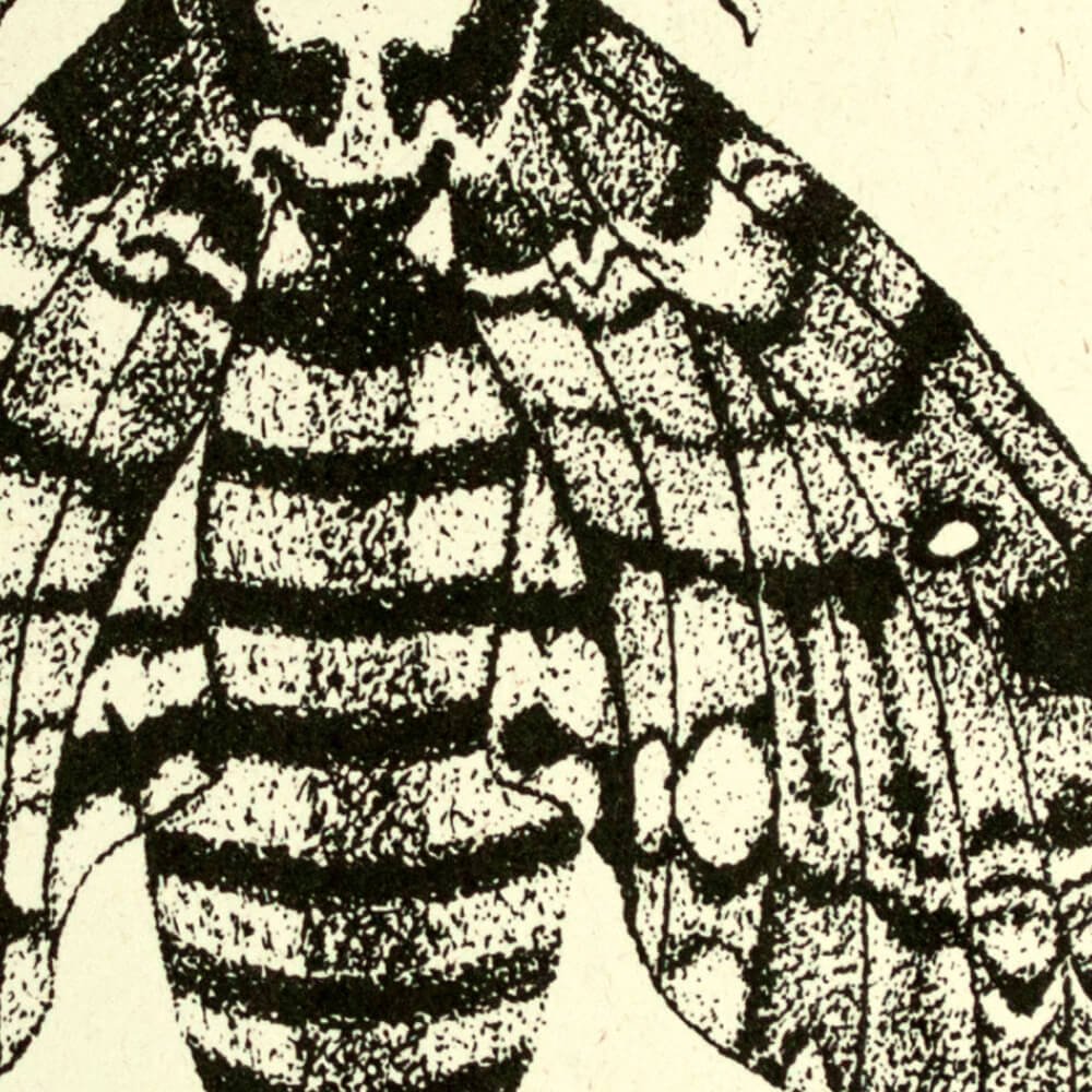 Print 35.jpg