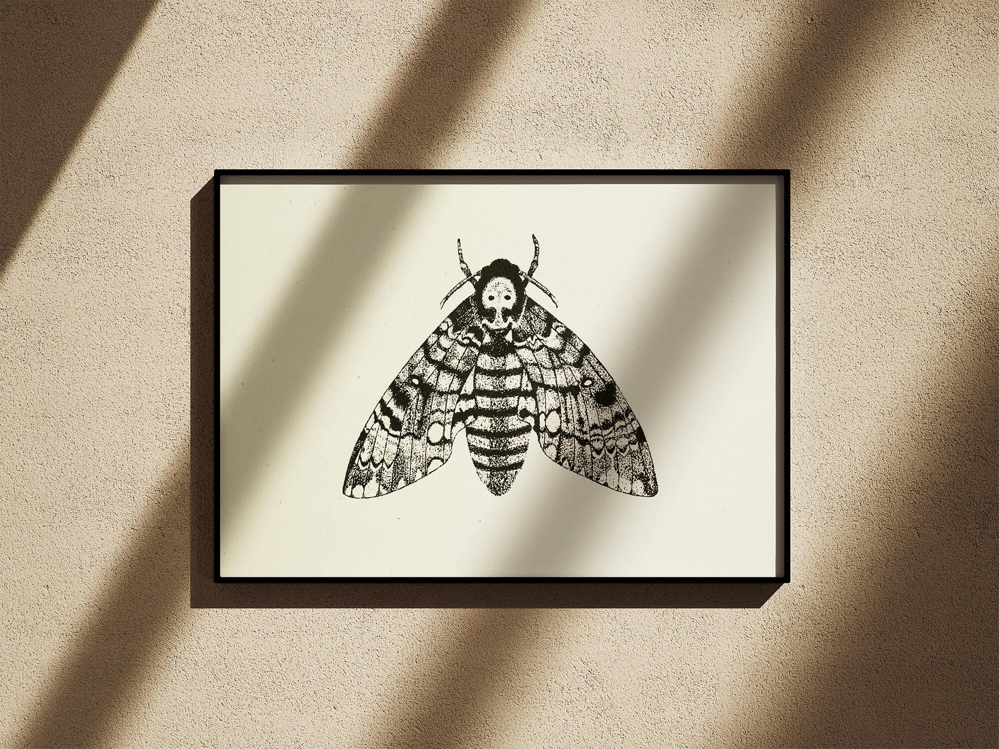 Deaths Head Moth Frame.jpg