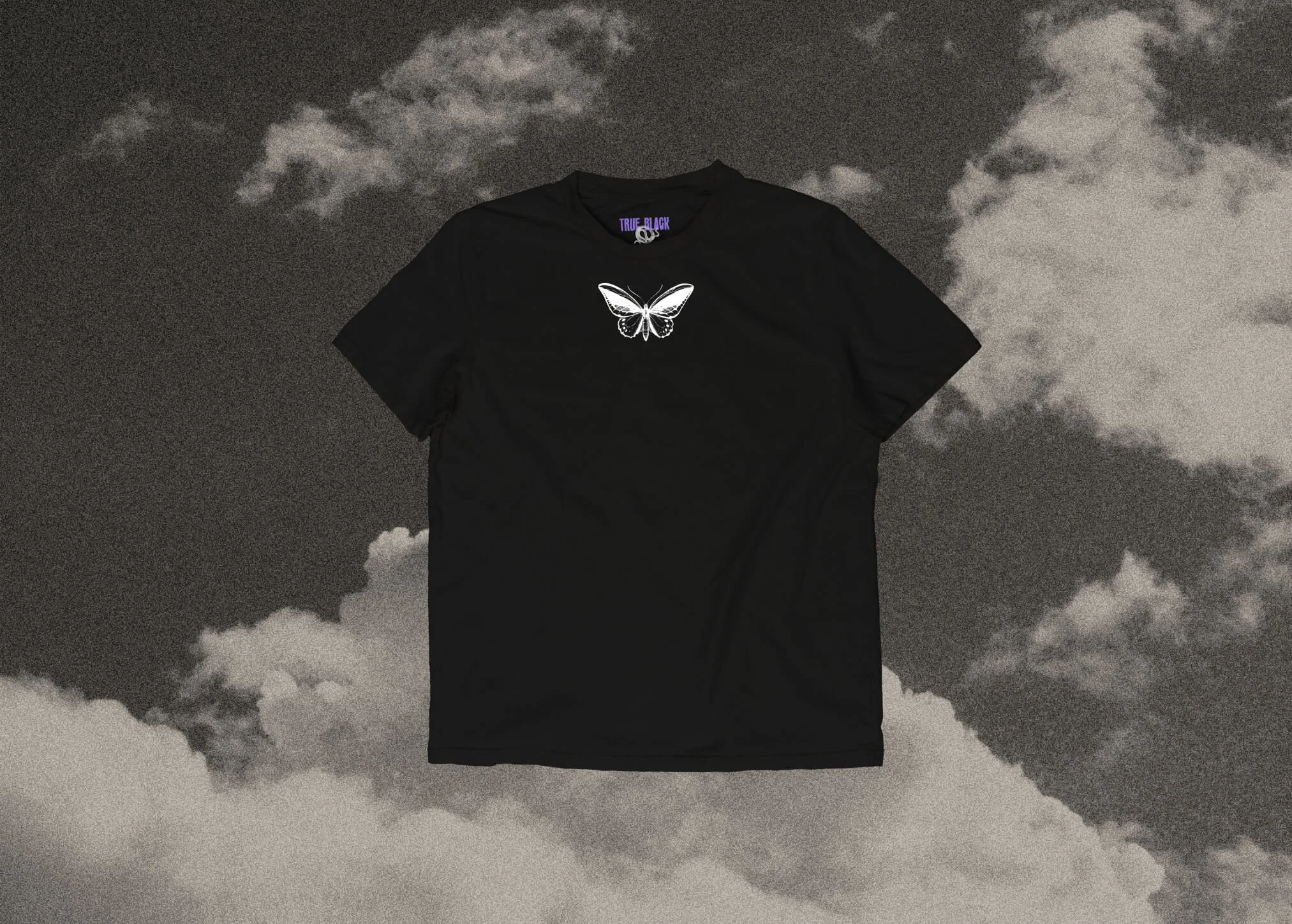 priams birdwing-1.jpg