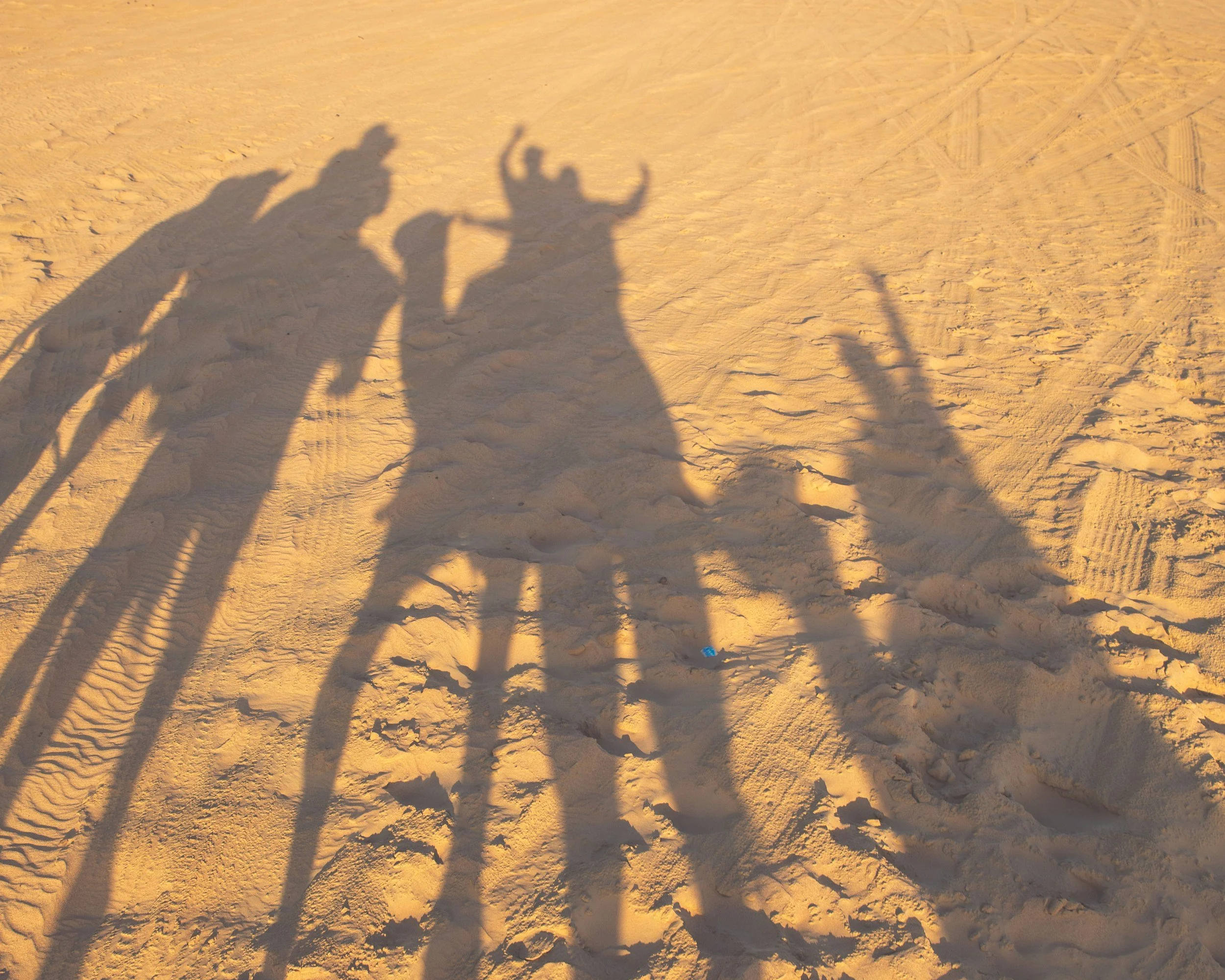 Shadows of two camels and a person walking on sandy terrain during sunset.