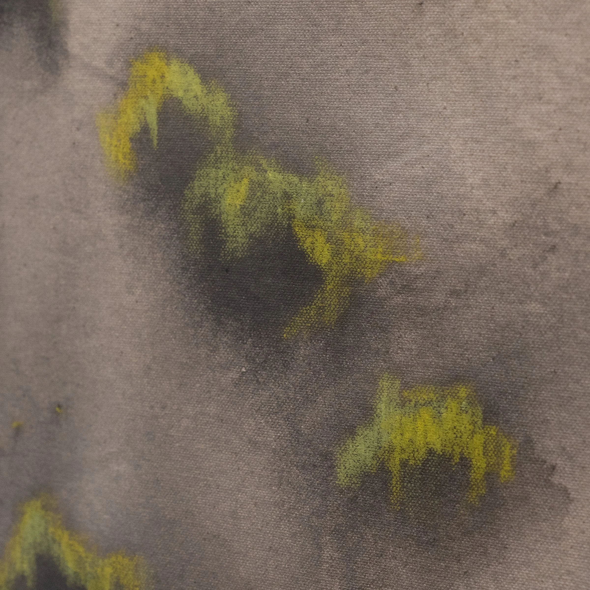 Moss II (detail)