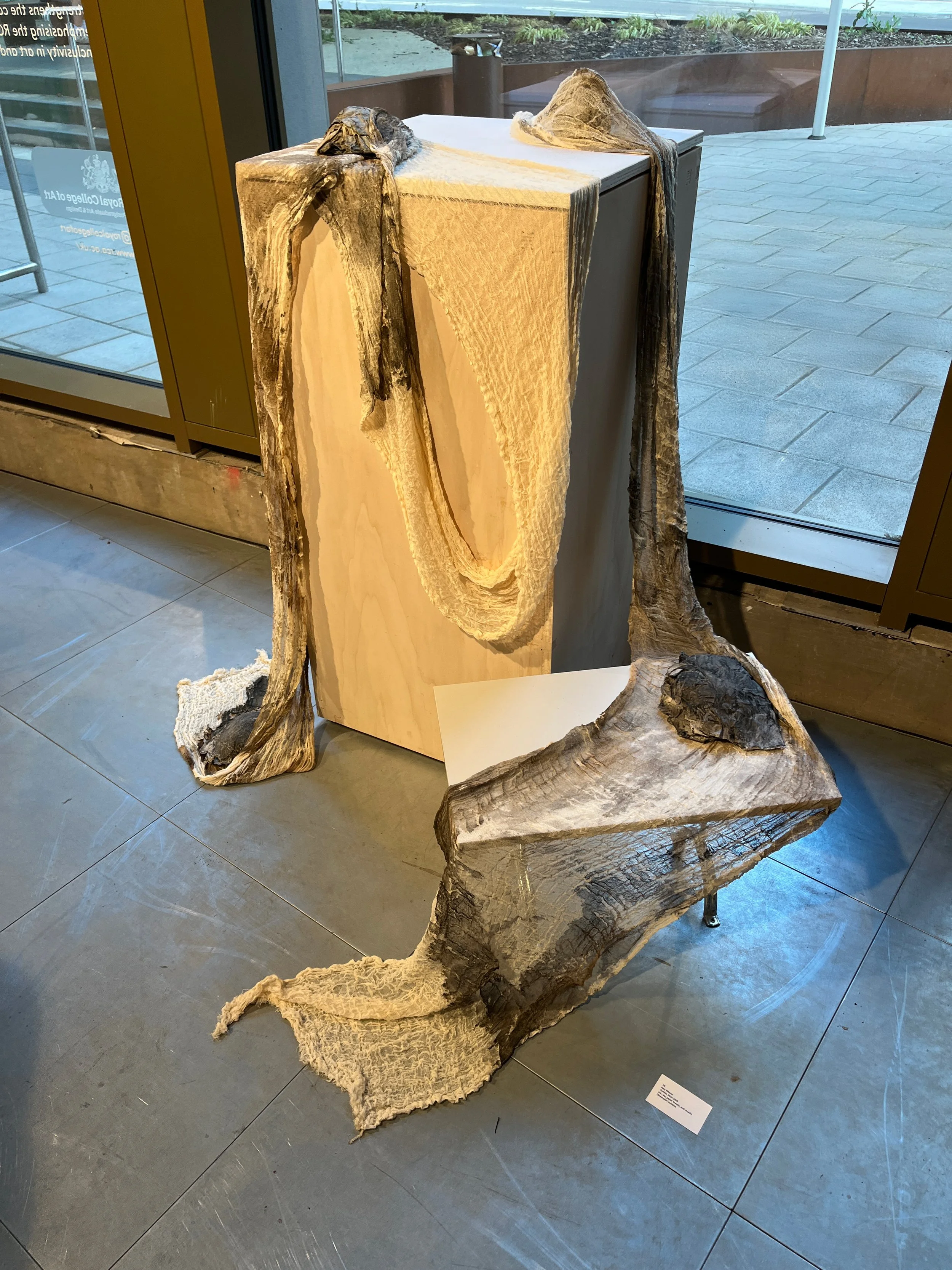 Turtle Stones, ink, muslin, and paper towels