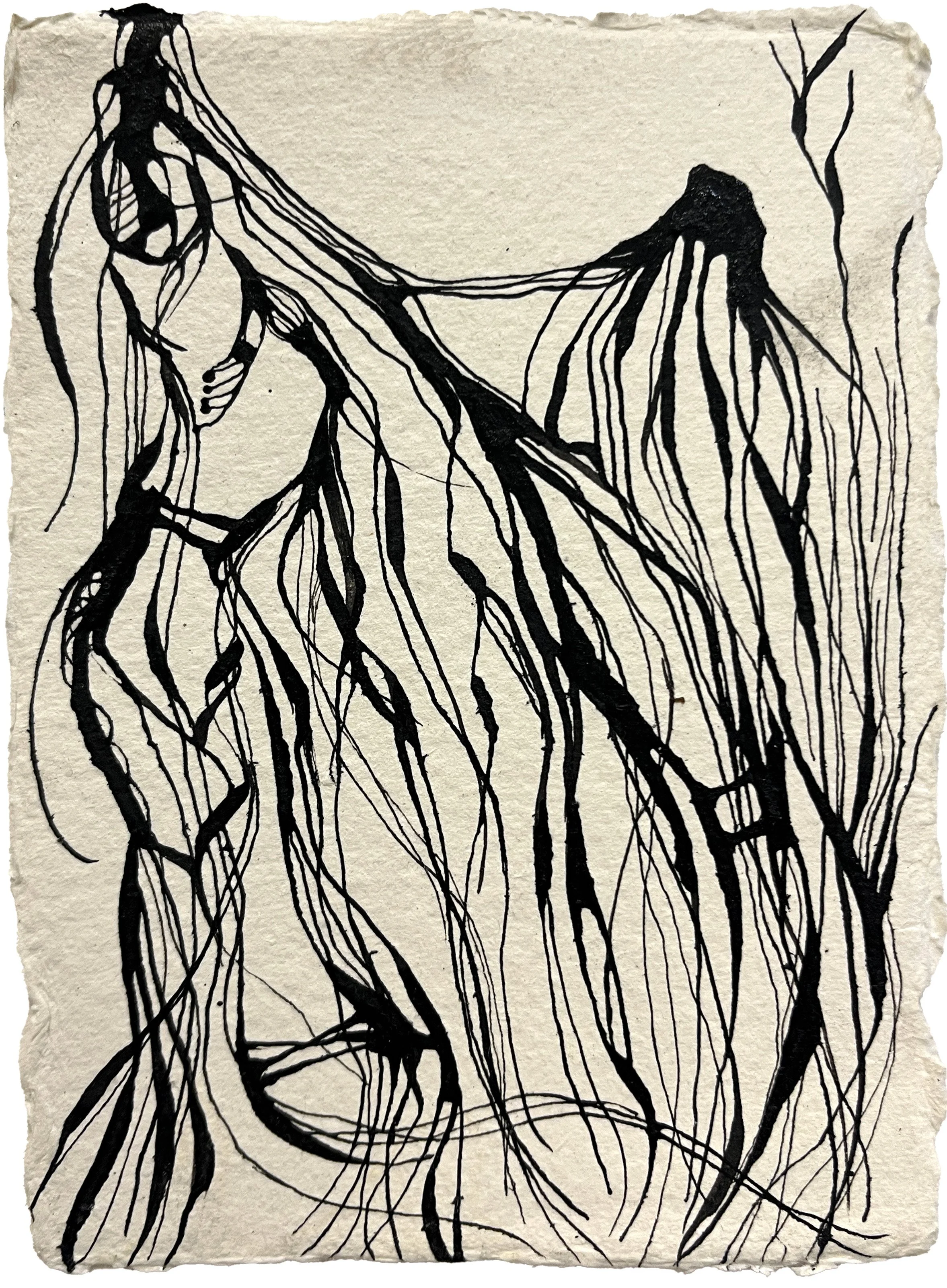 Rhizomes II study, ink on paper, 4x6in/10x14cm, $225