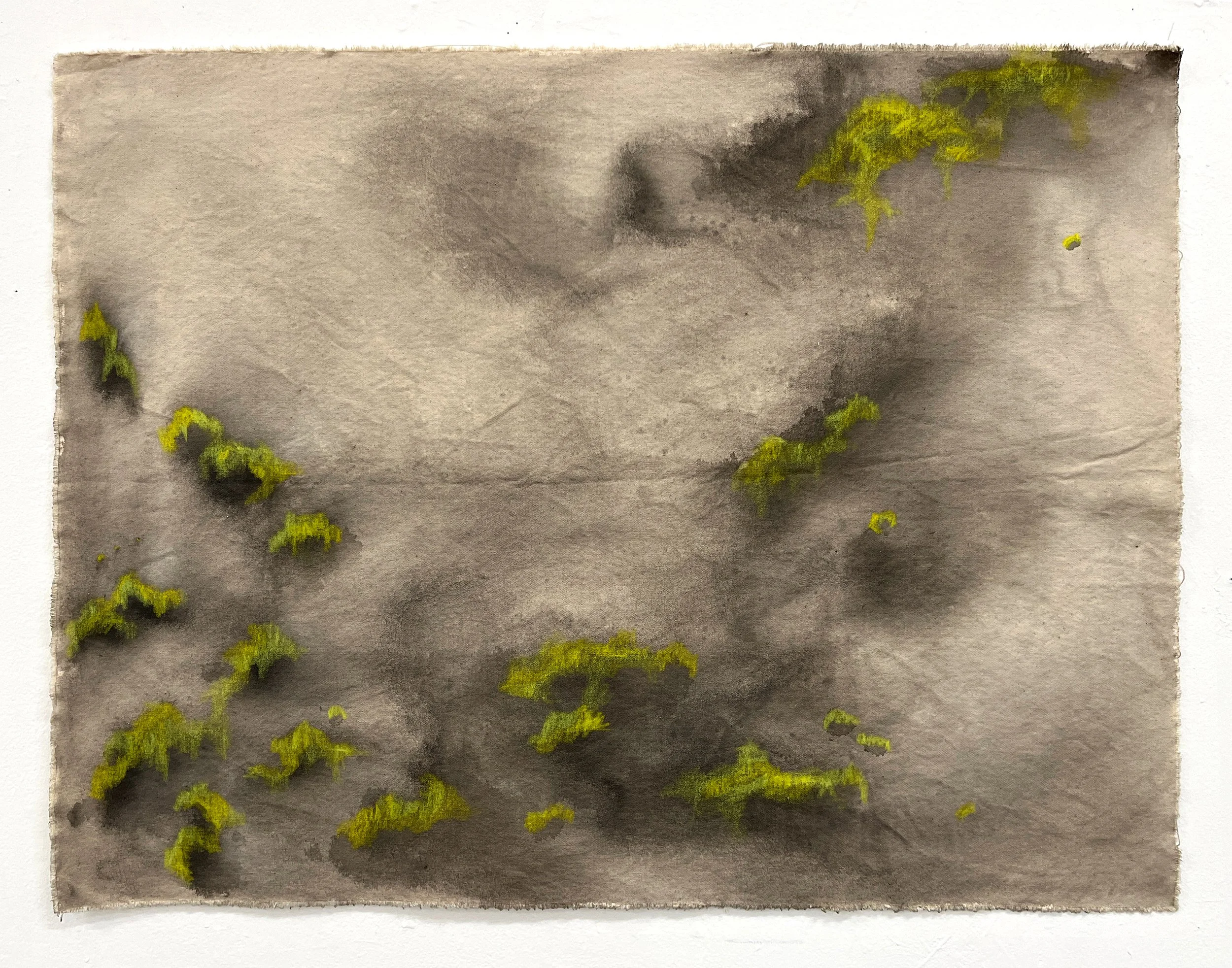 moss2.jpg