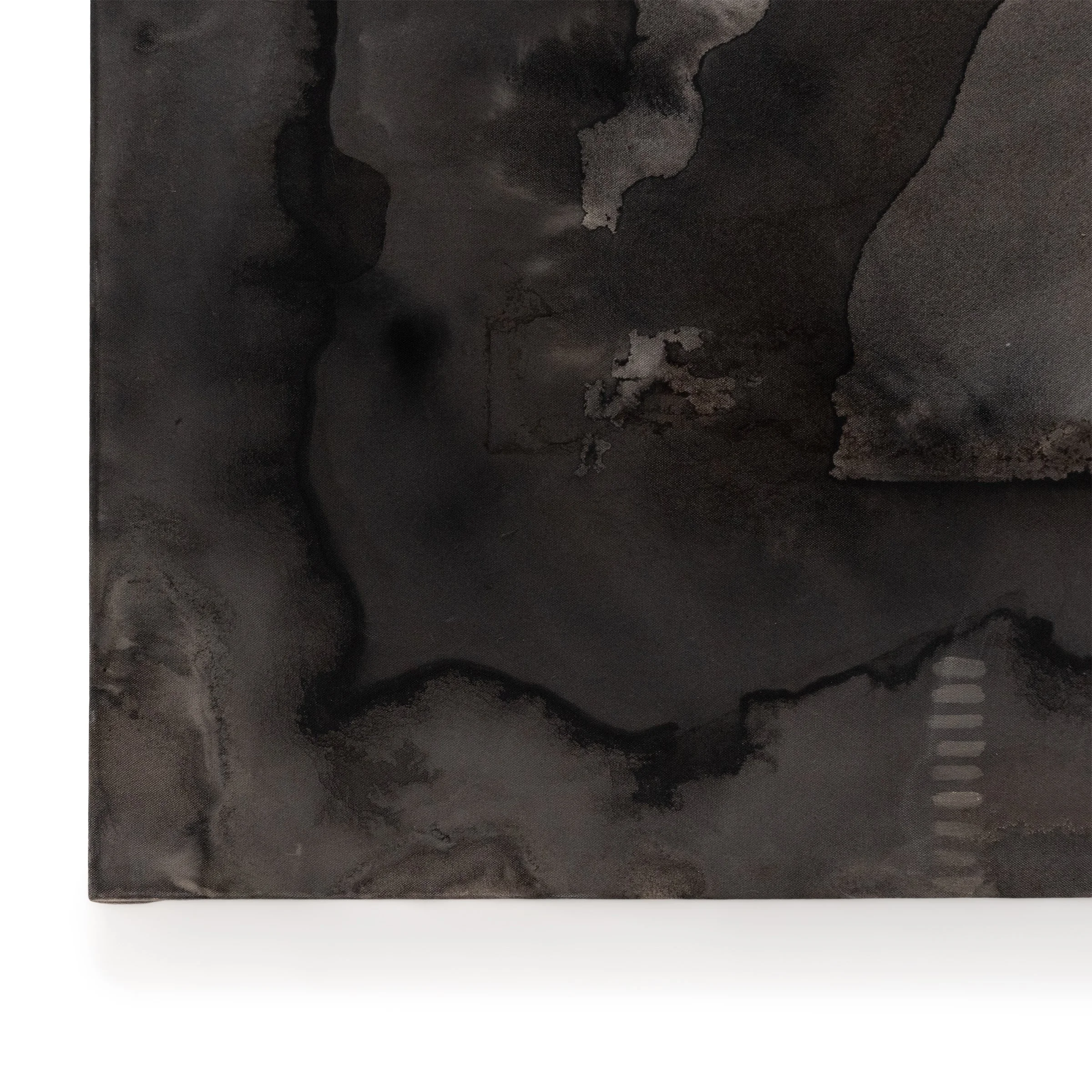 Vestigial Structures (detail)