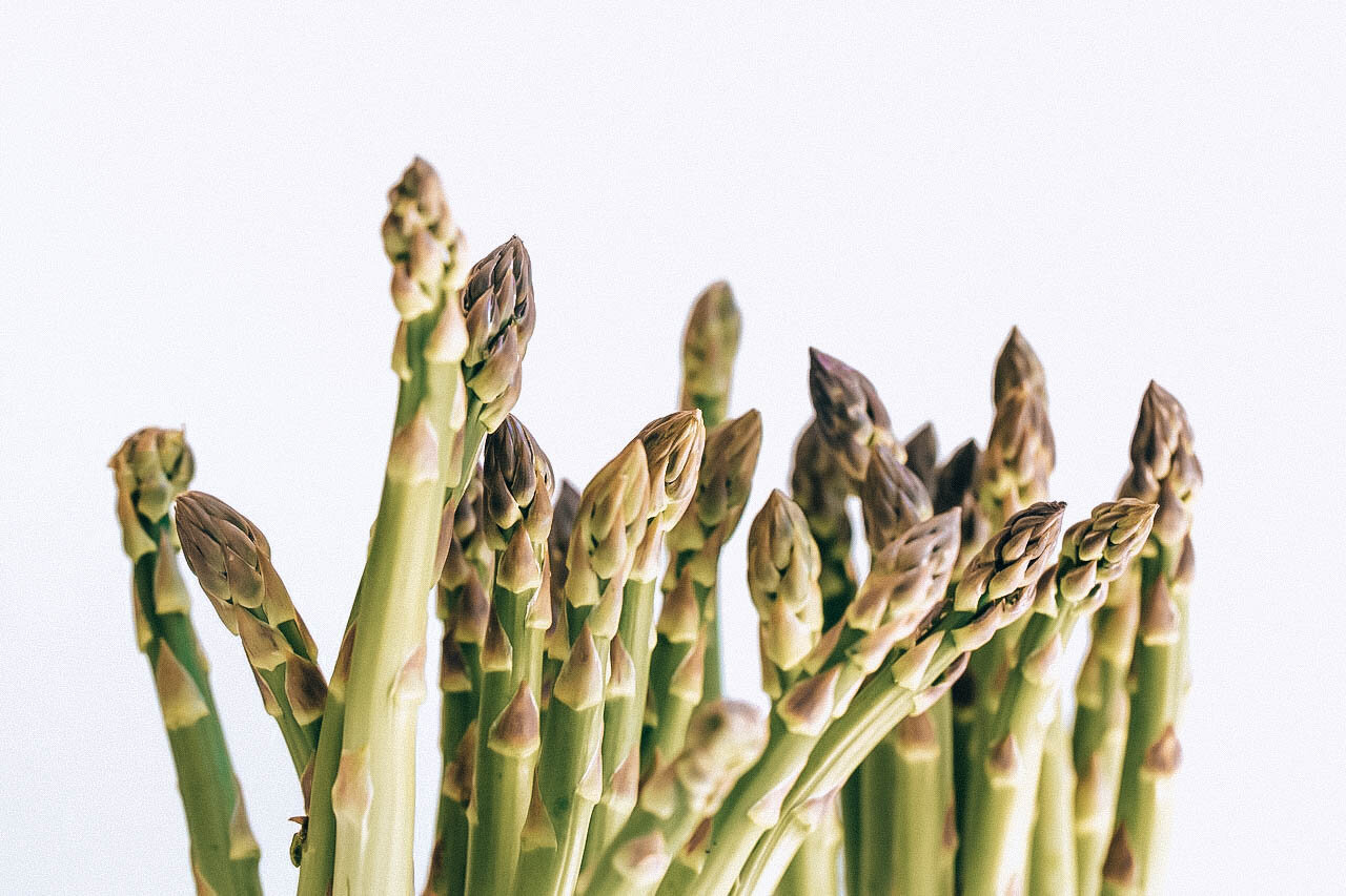 Prebiotics vs. Probiotics & Benefits of Both