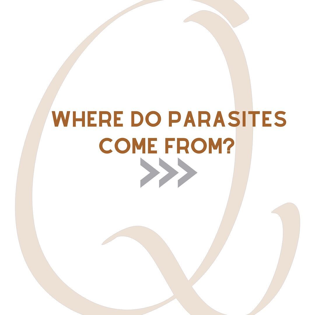 a common question i get is &ldquo;could i have parasites if i&rsquo;ve never left the country?&rdquo; 🪱

the answer is YES!

it&rsquo;s a total myth that parasites aren&rsquo;t present in first world countries. they absolutely are, and we&rsquo;ve a
