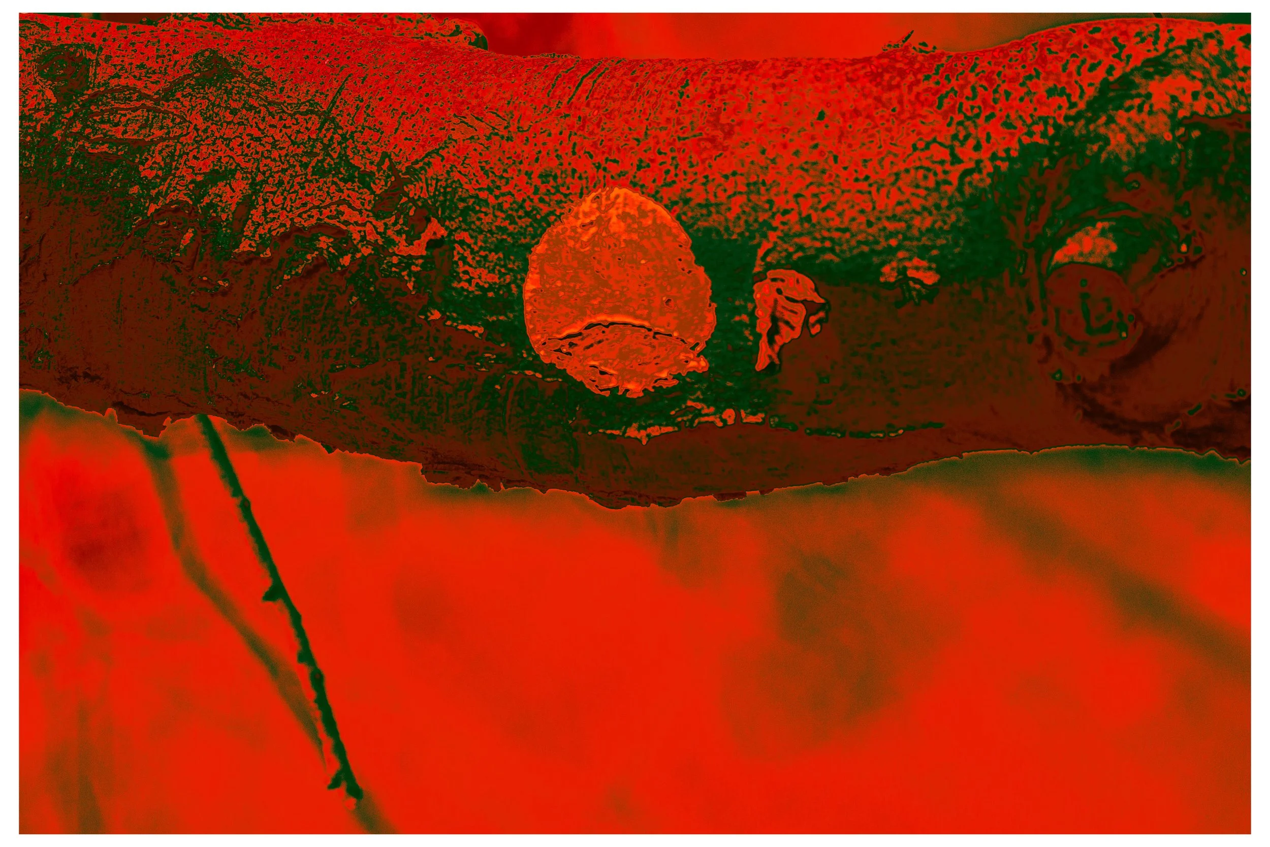 Marts_2022_Red_Ground_Present.jpg