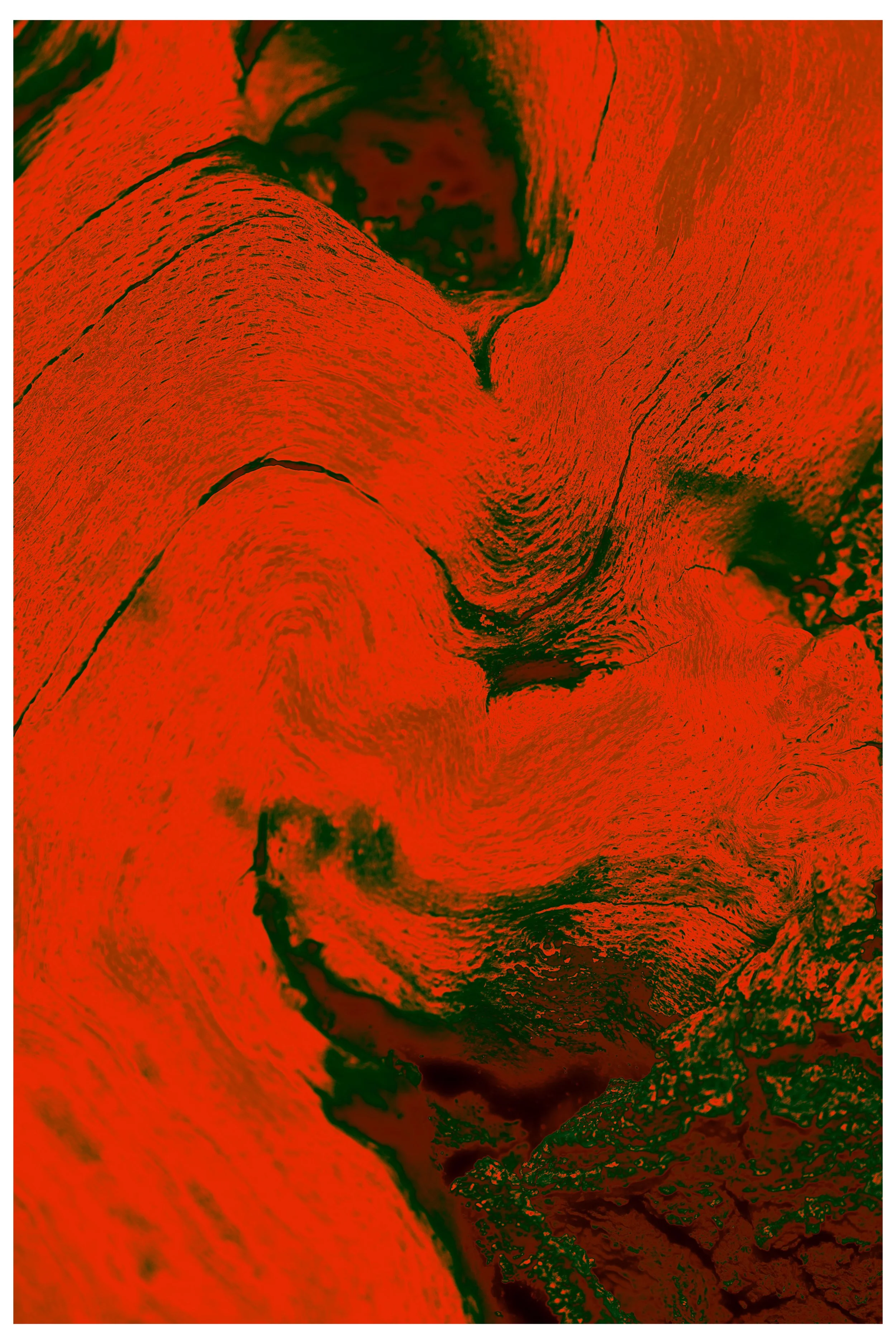 Marts_2022_Red_Ground_Present-4.jpg