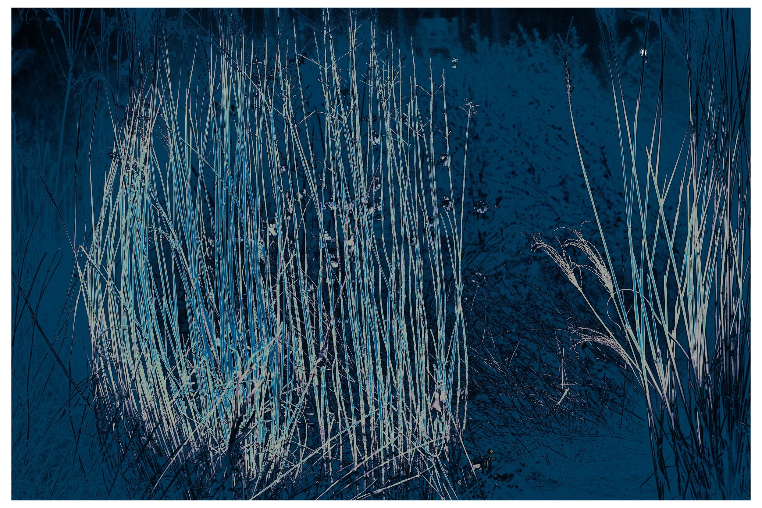 2022 Night_Straws-3.jpg