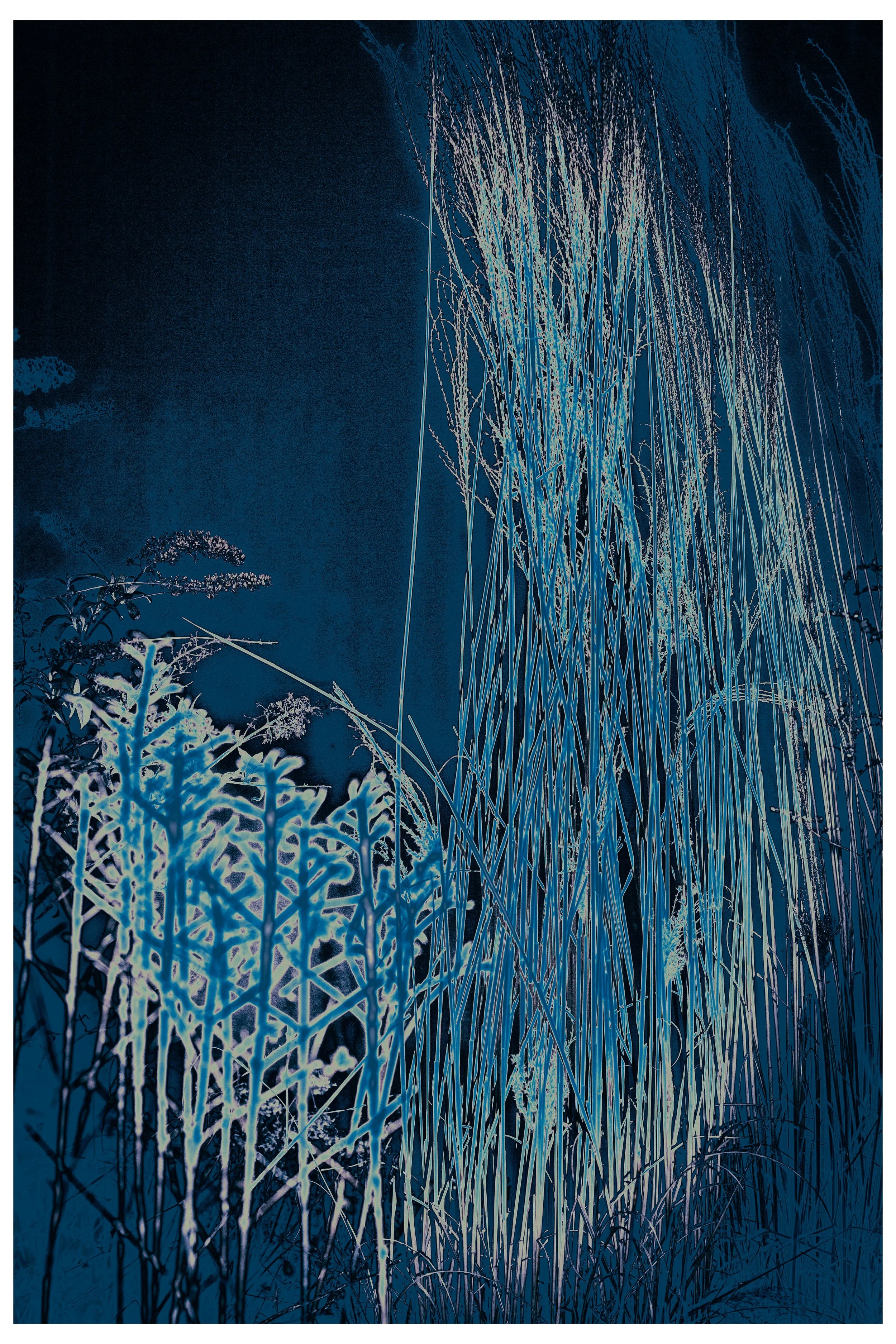 2022 Night_Straws-4.jpg