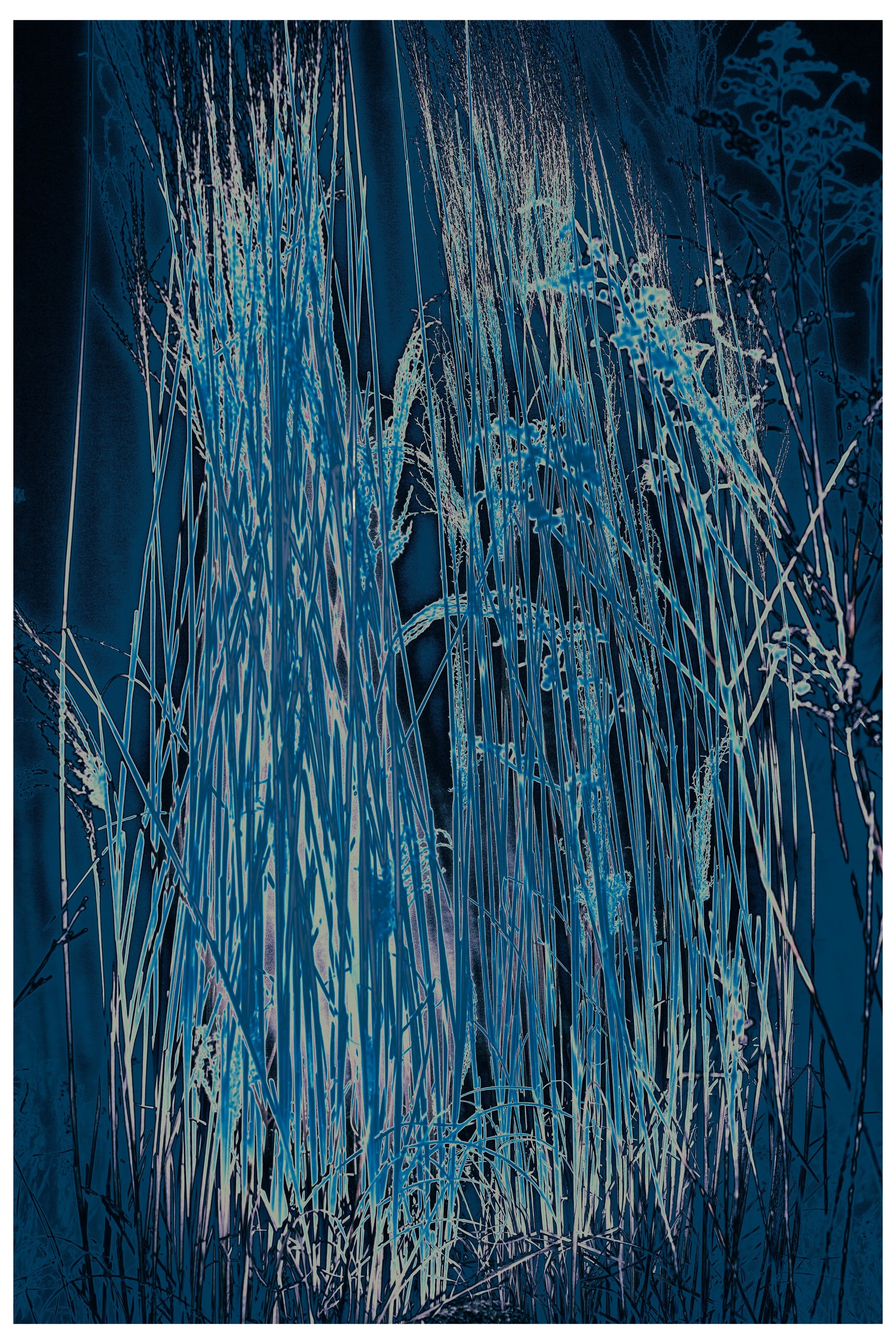 2022 Night_Straws-5.jpg