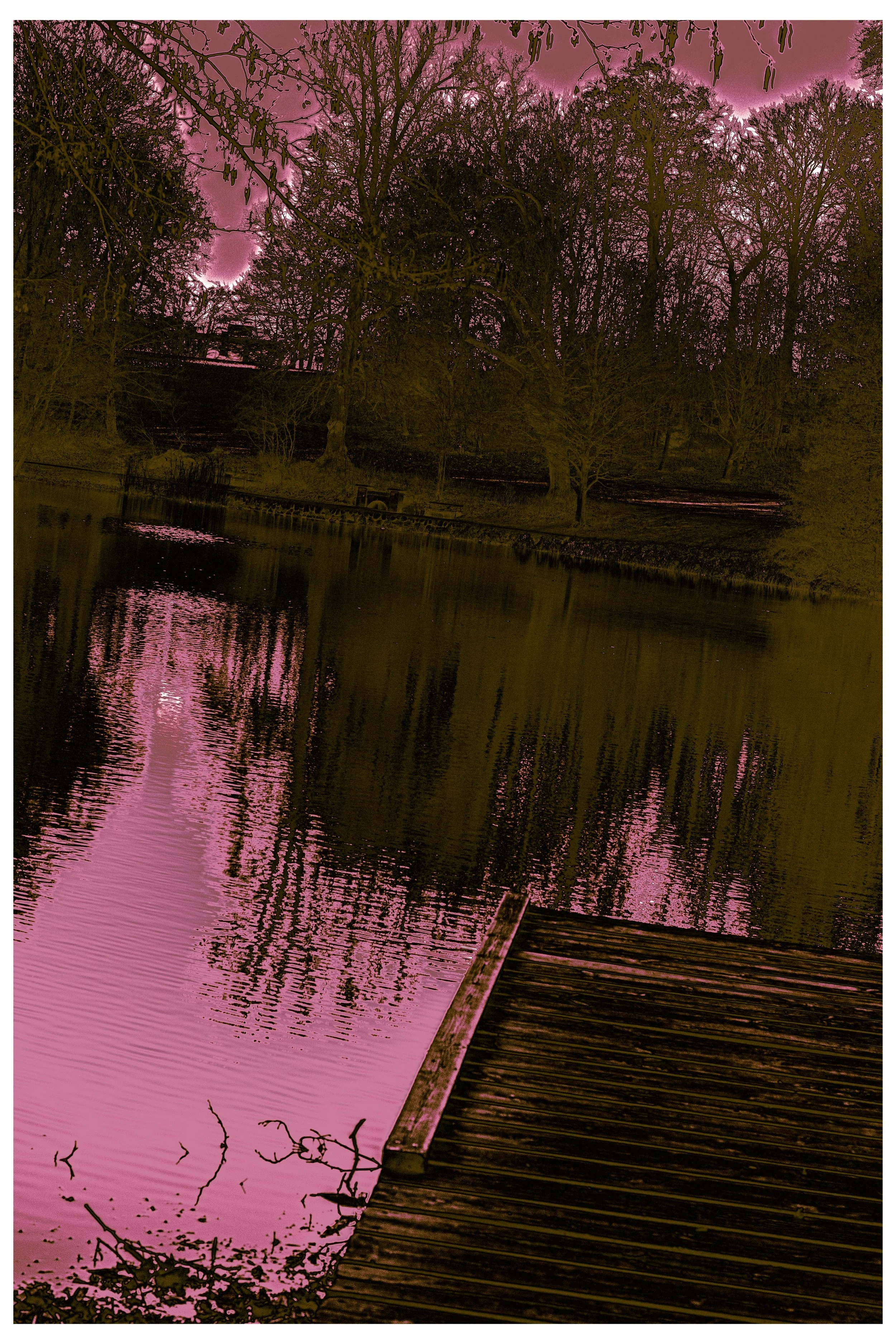 2022 Autonomous_Nature.jpg