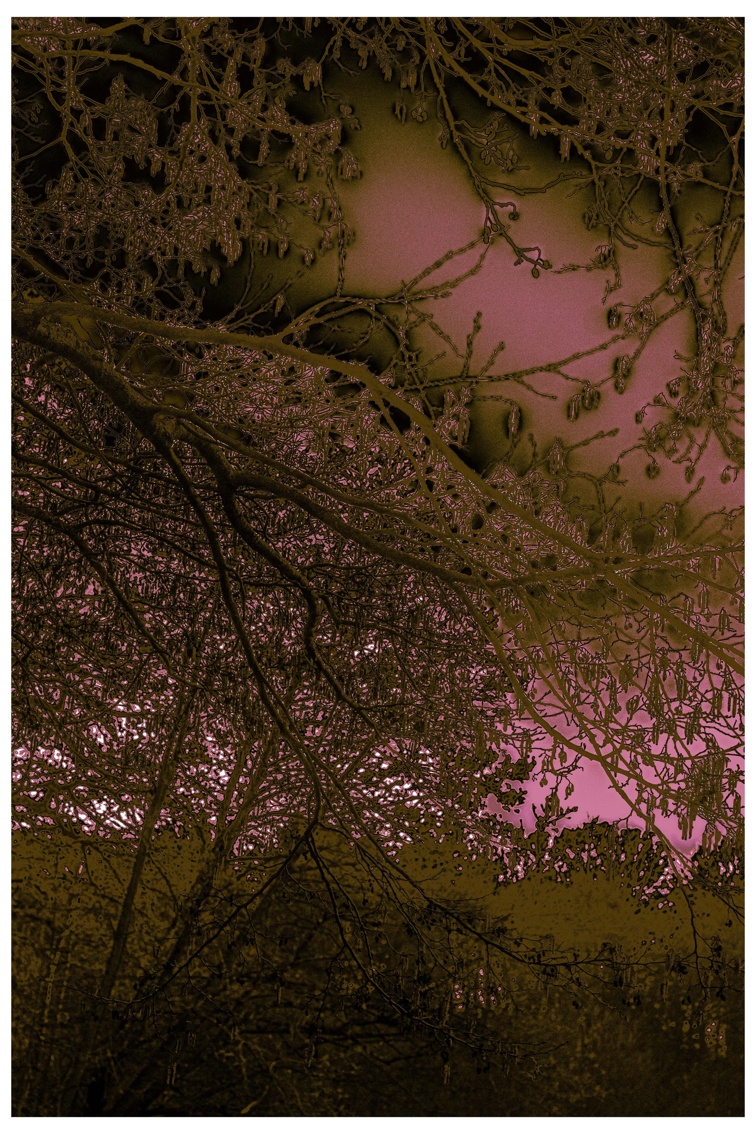 2022 Autonomous_Nature-6.jpg