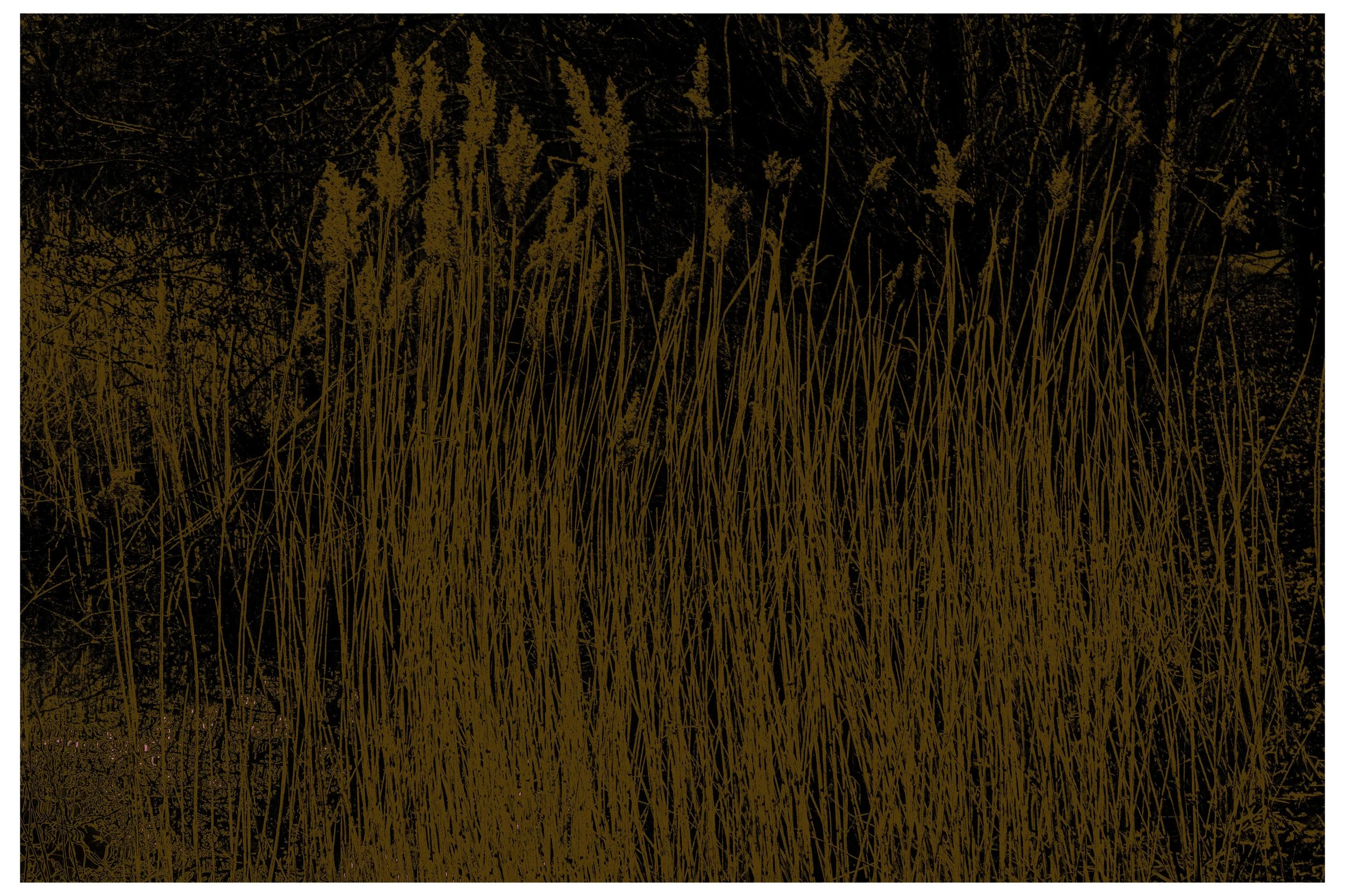 2022 Autonomous_Nature-13.jpg